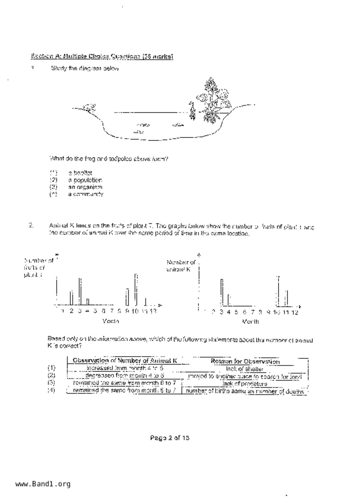P6Science試卷