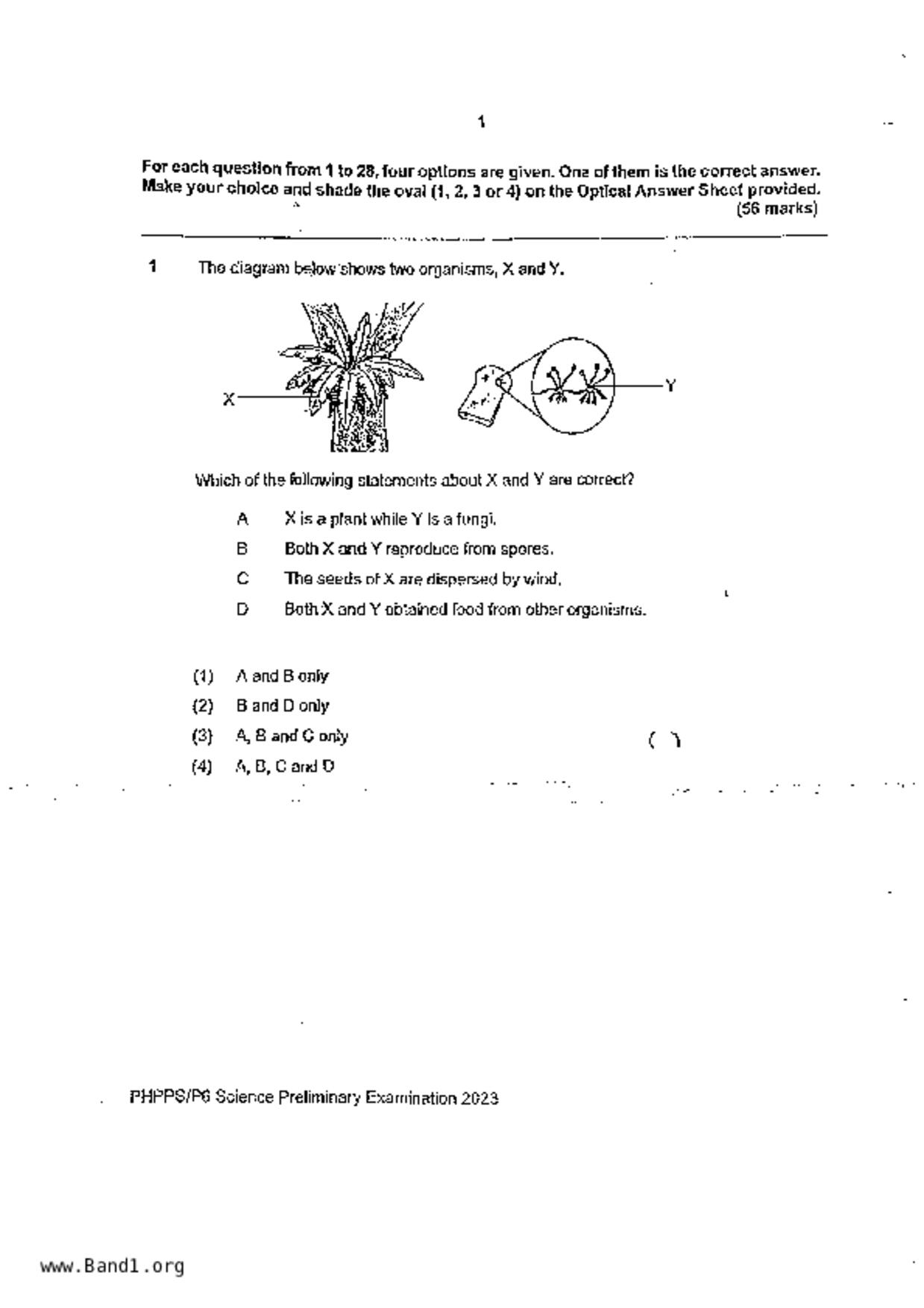 P6Science試卷