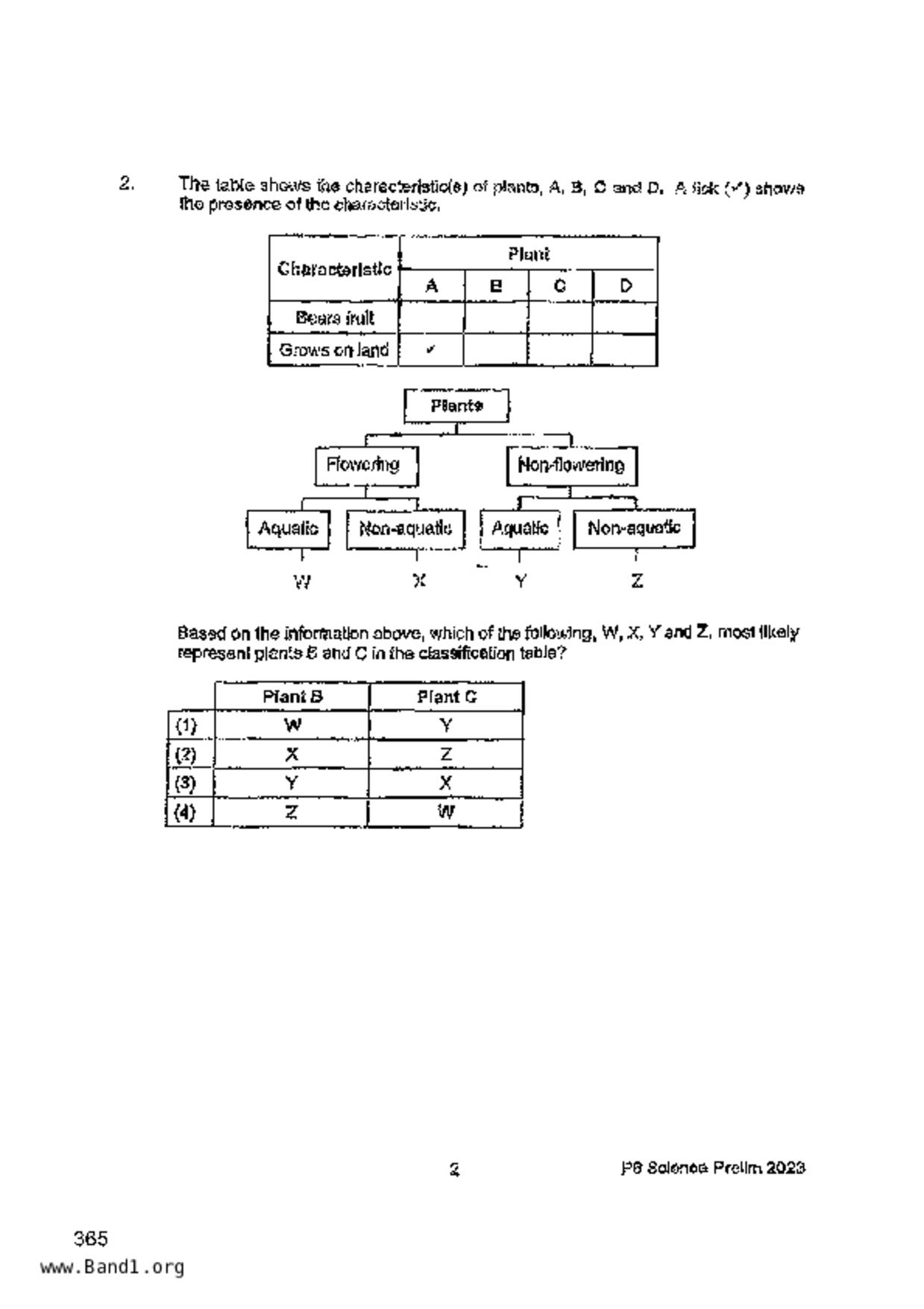 P6Science試卷