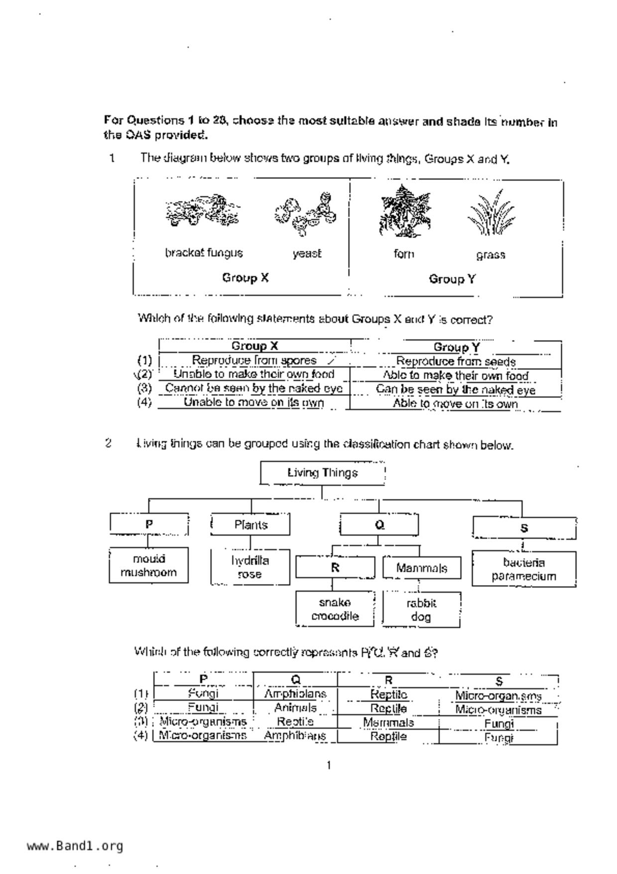 P6Science試卷