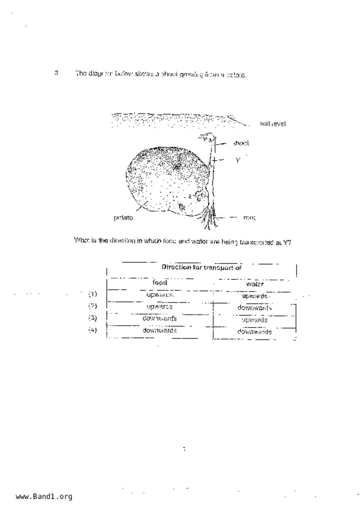P6Science試卷