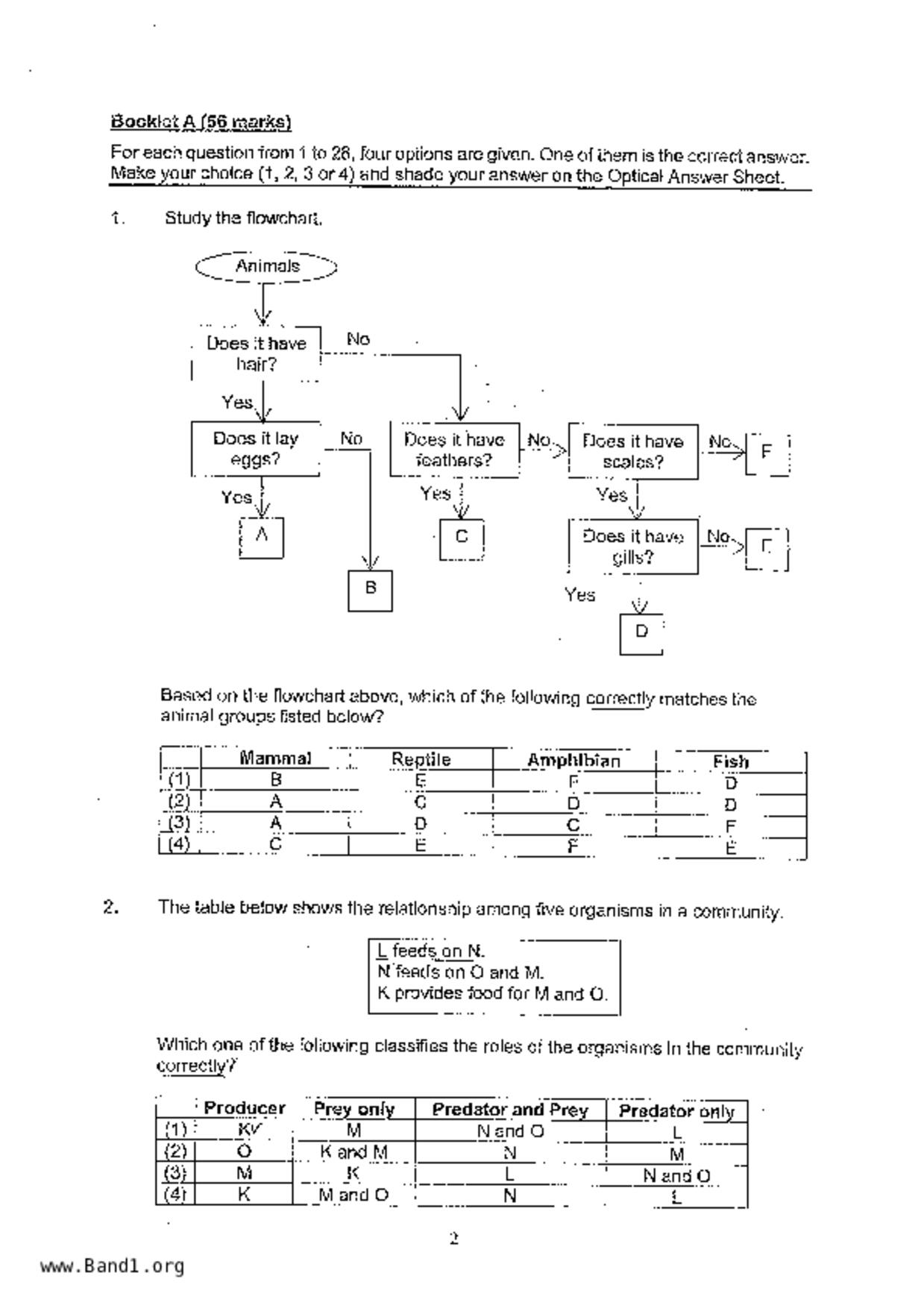 P6Science試卷