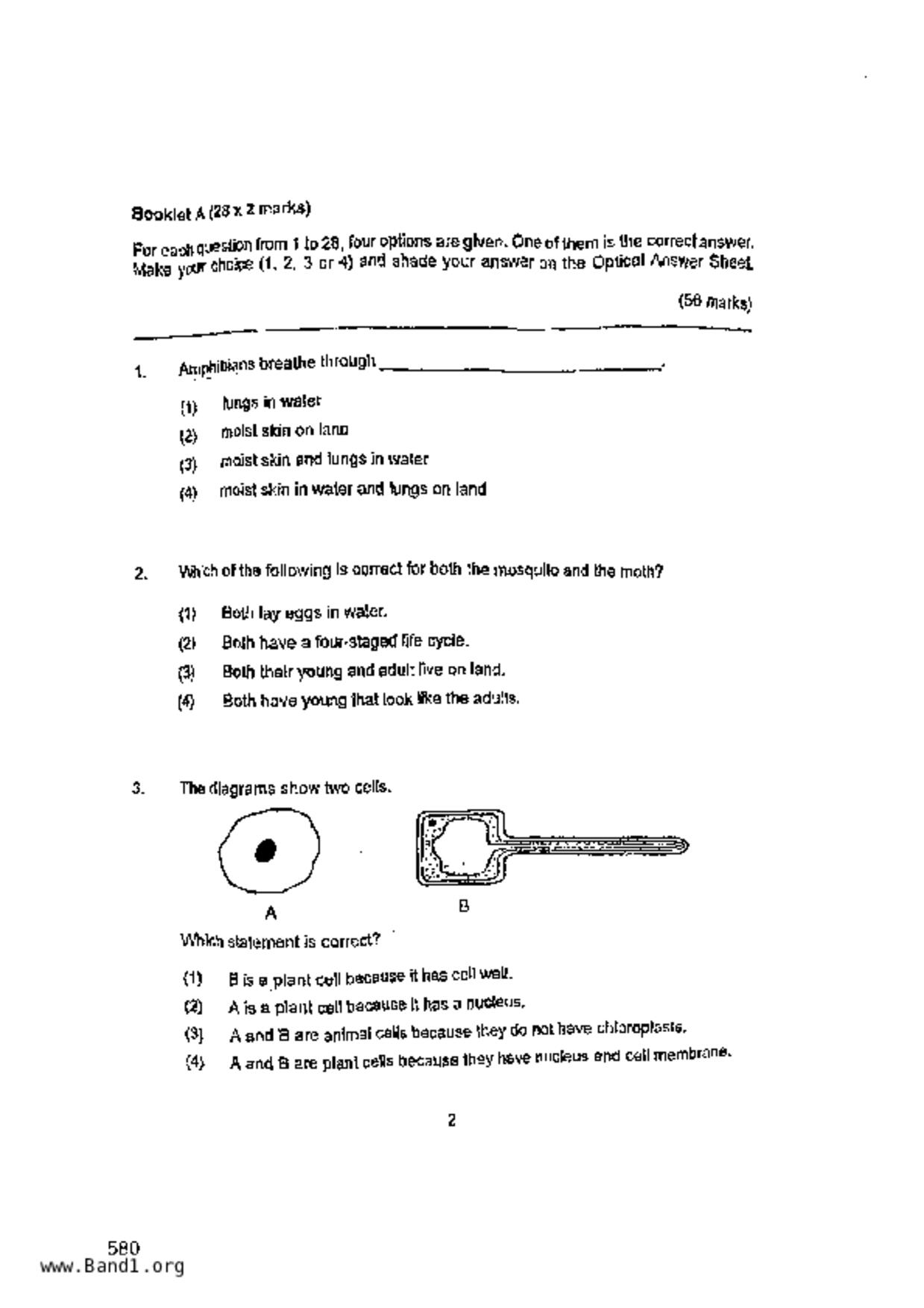 P6Science試卷