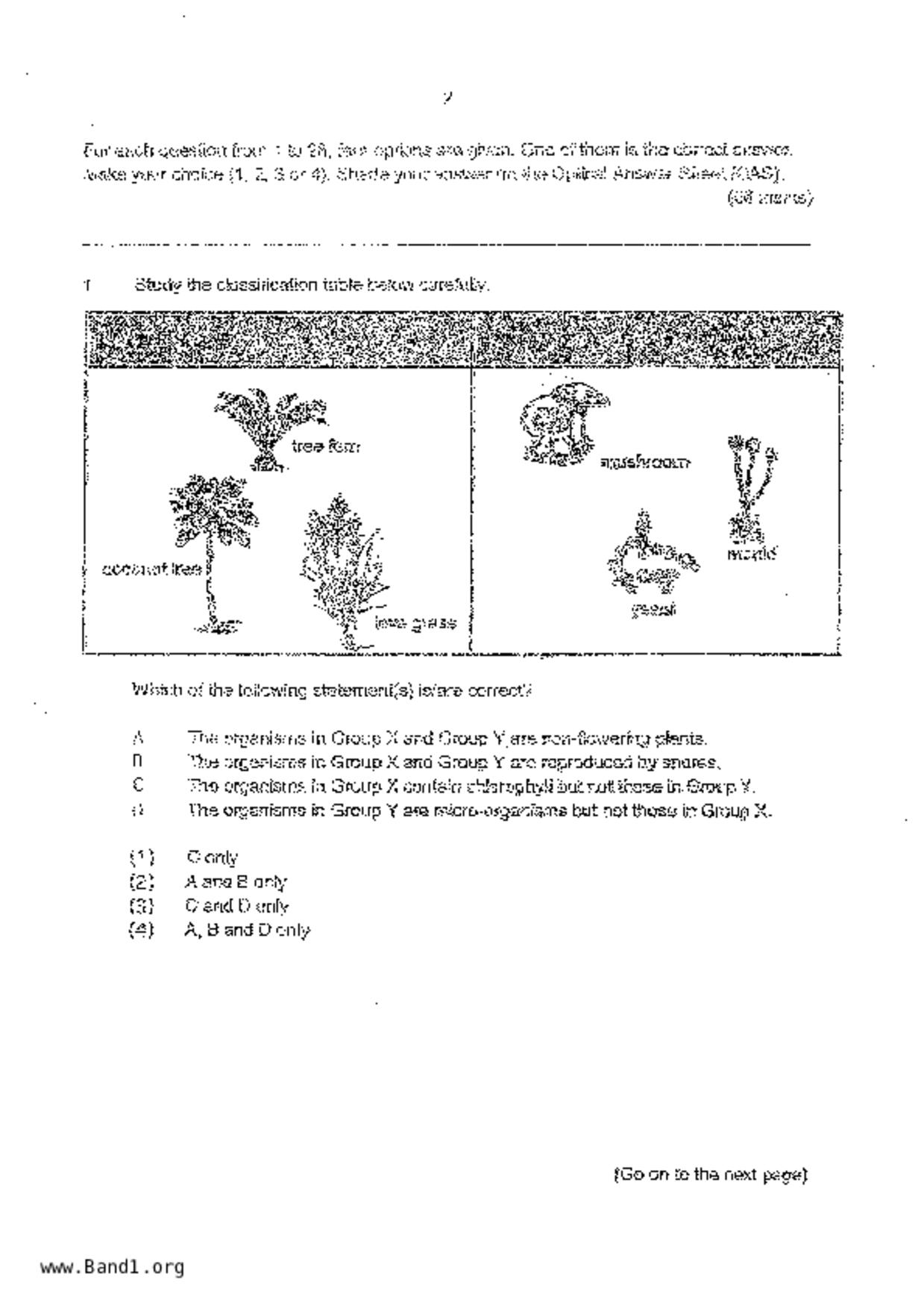 P6Science試卷