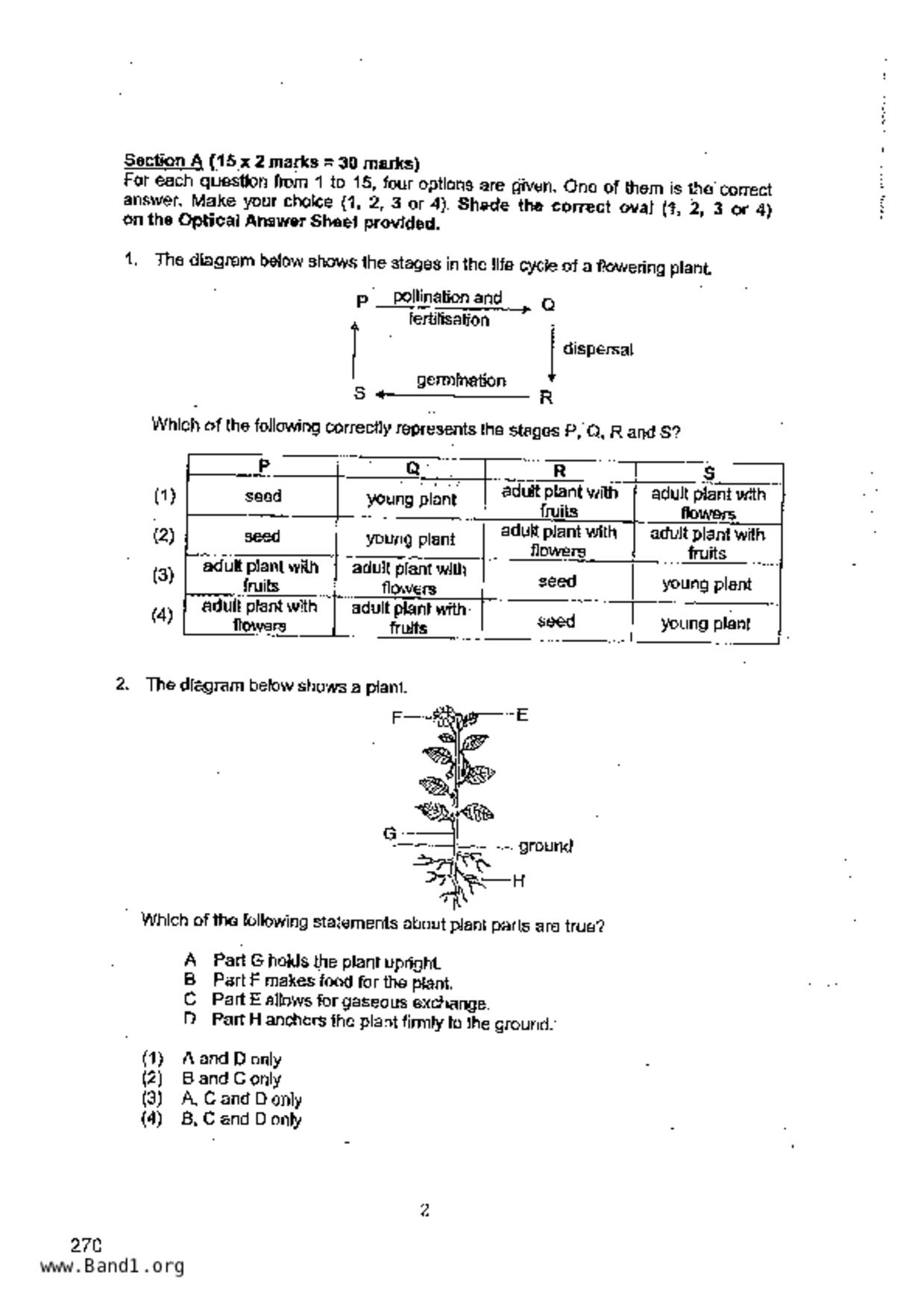 P6Science試卷