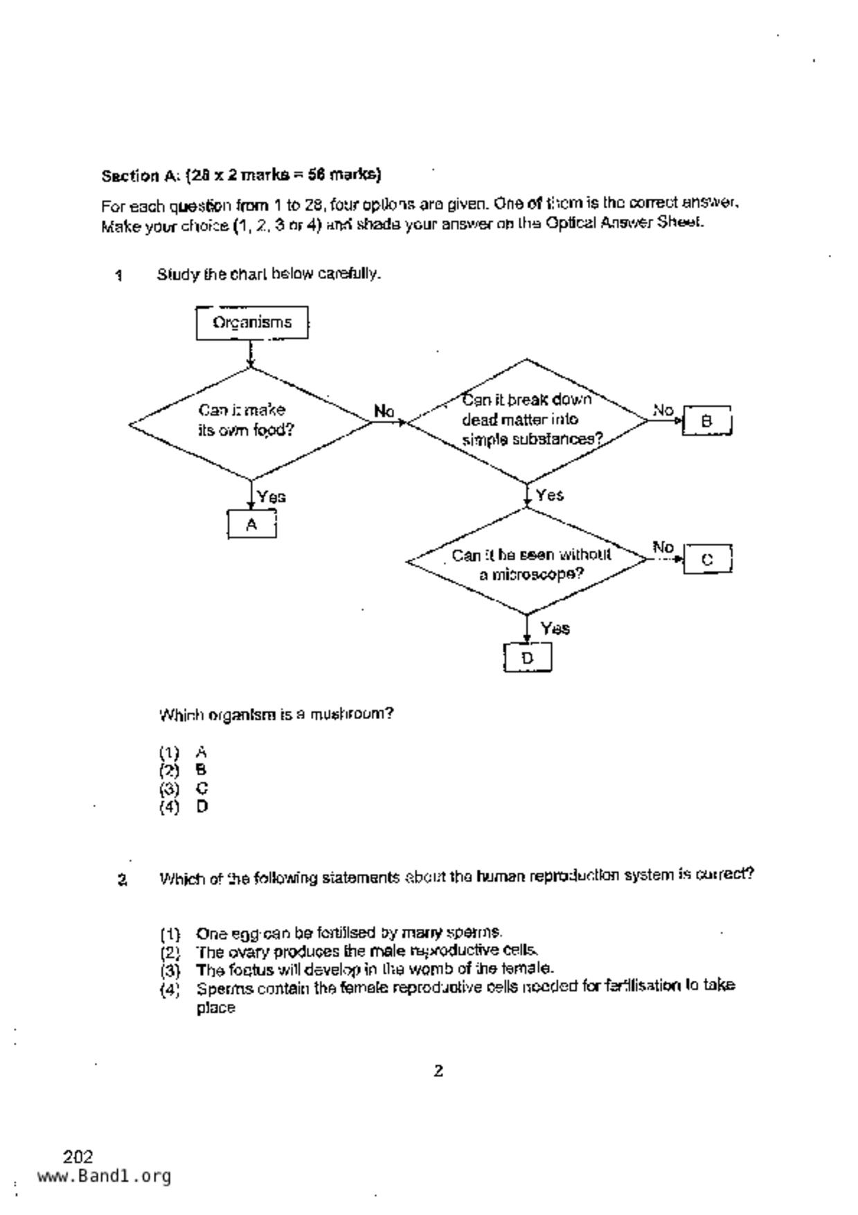 P6Science試卷