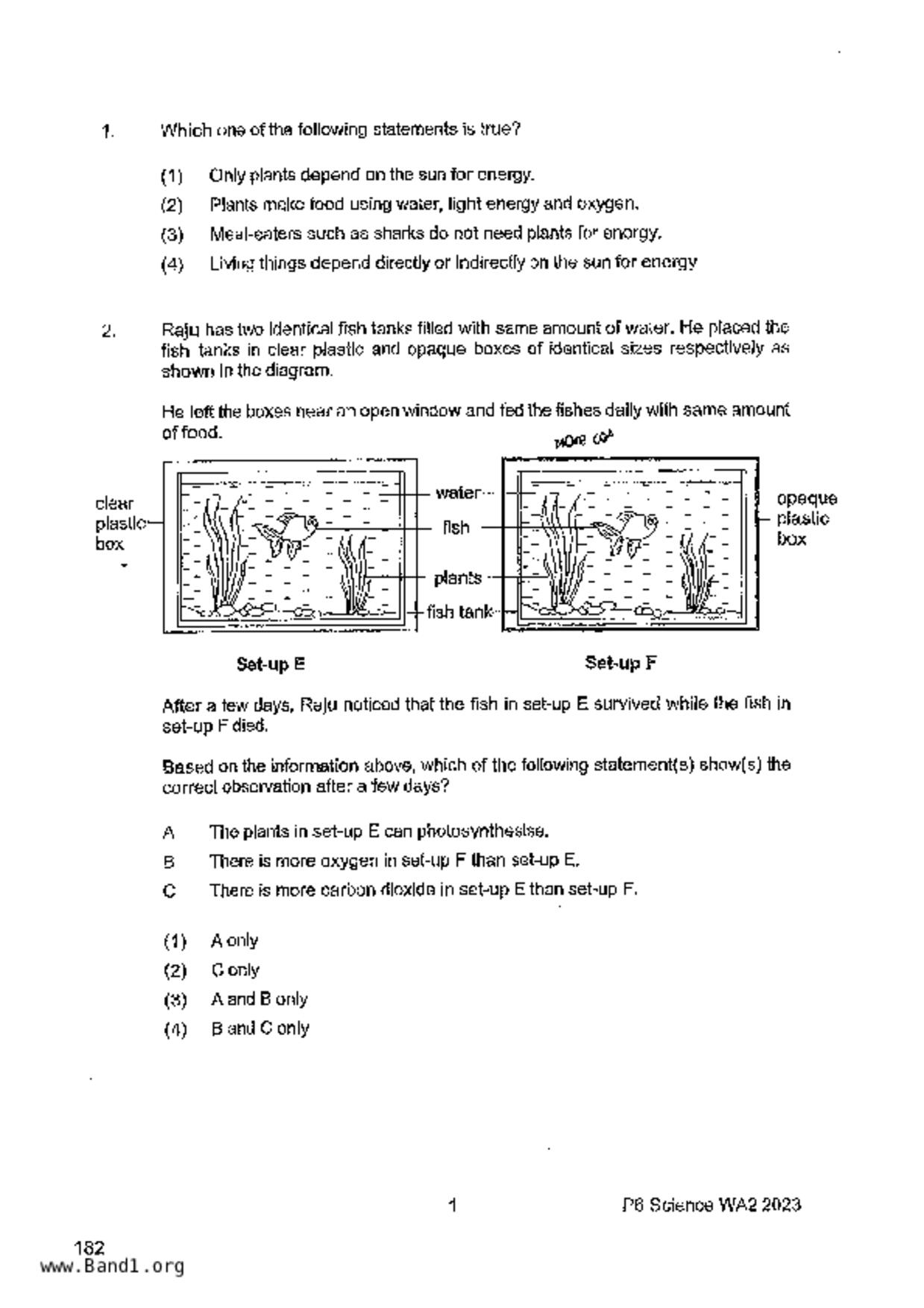 P6Science試卷