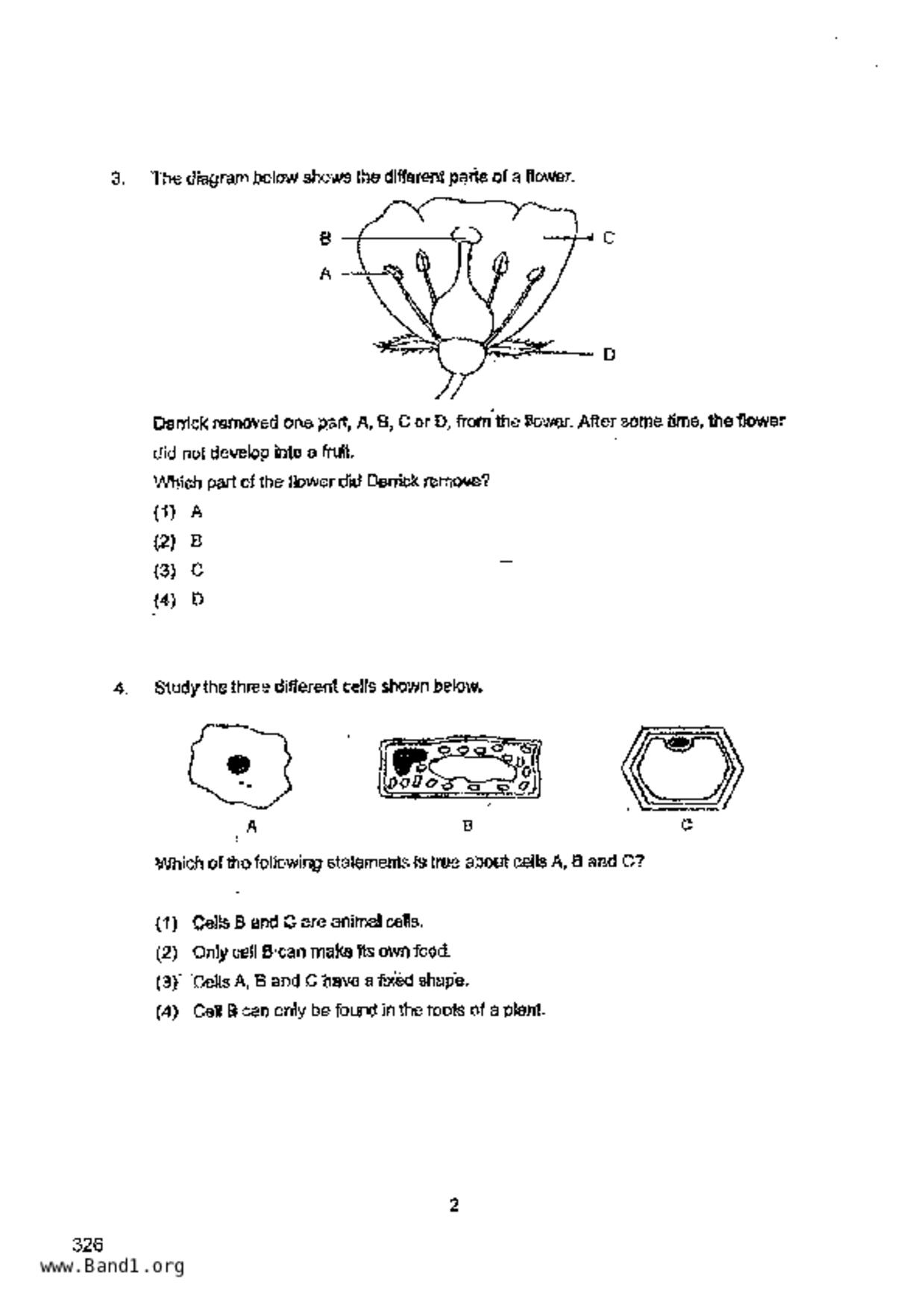 P6Science試卷