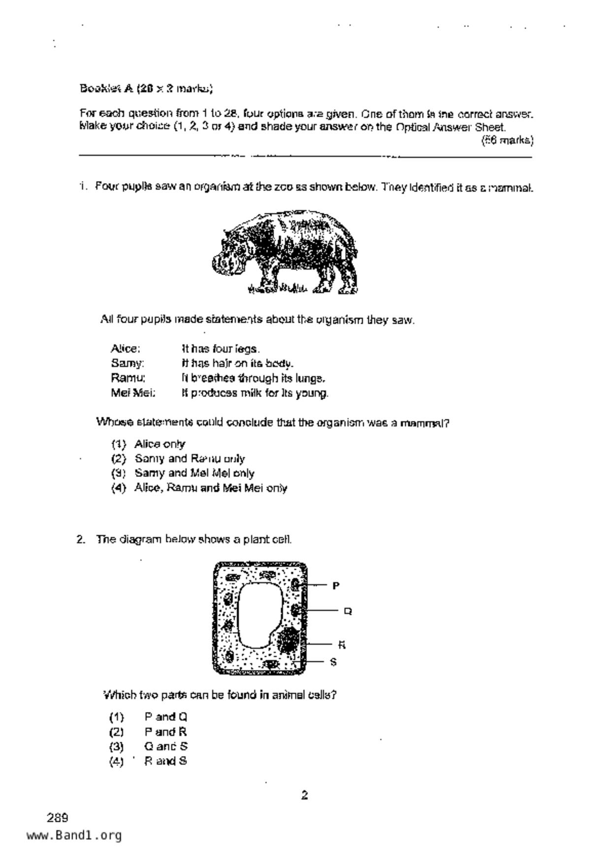 P6Science試卷