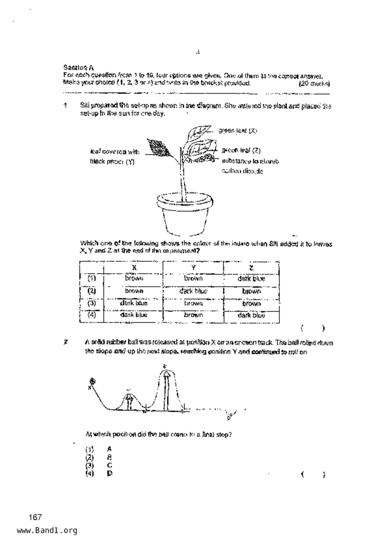 P6Science試卷
