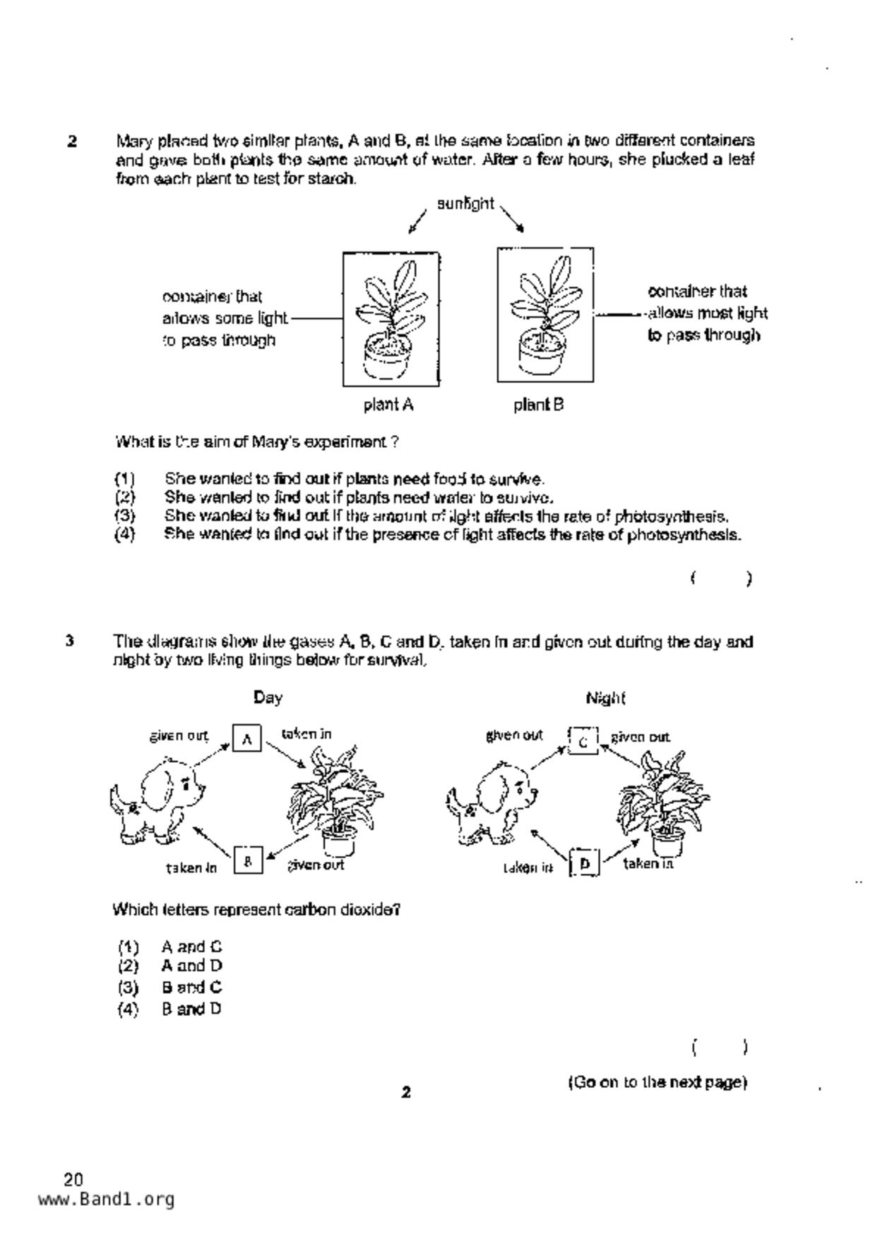 P6Science試卷