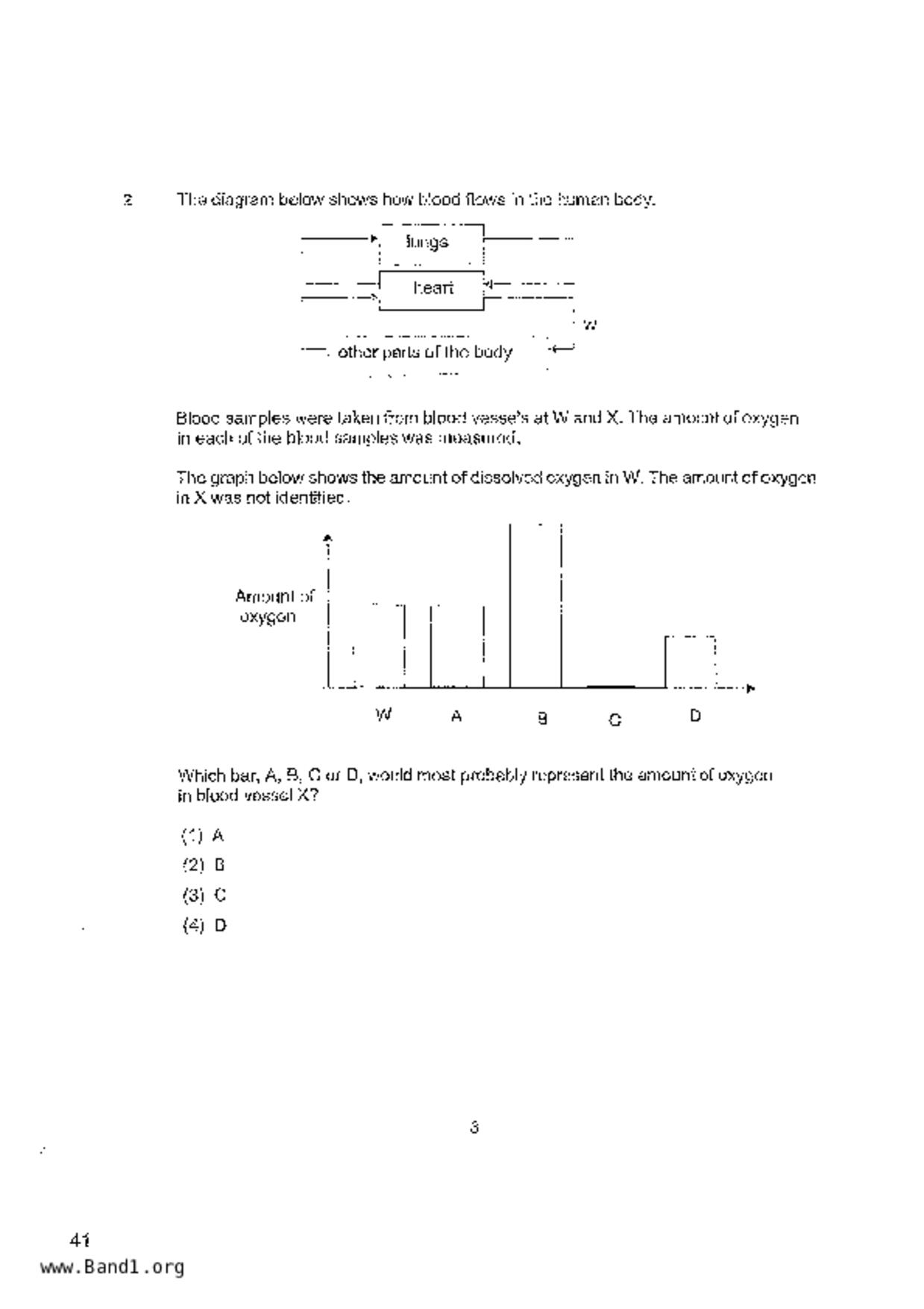 P6Science試卷