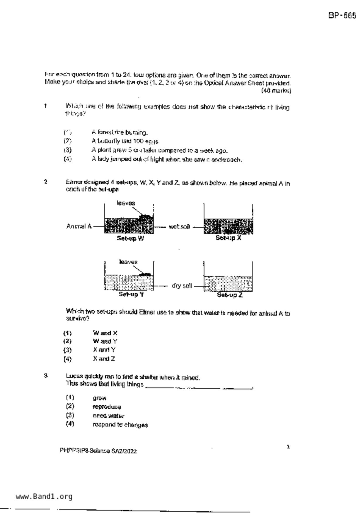 P3Science試卷