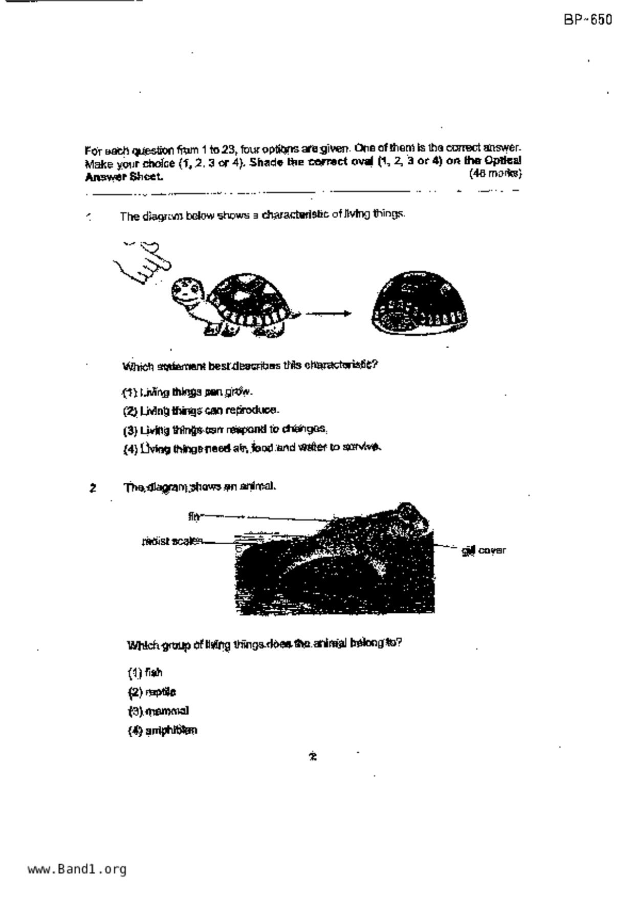 P3Science試卷