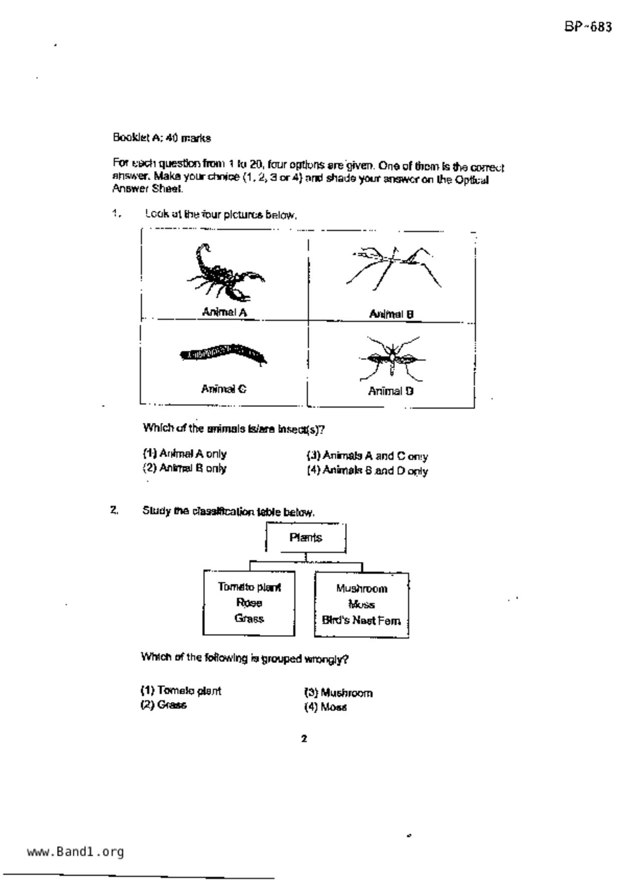 P3Science試卷