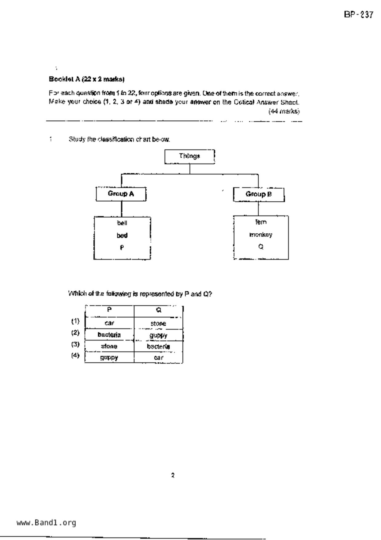 P3Science試卷