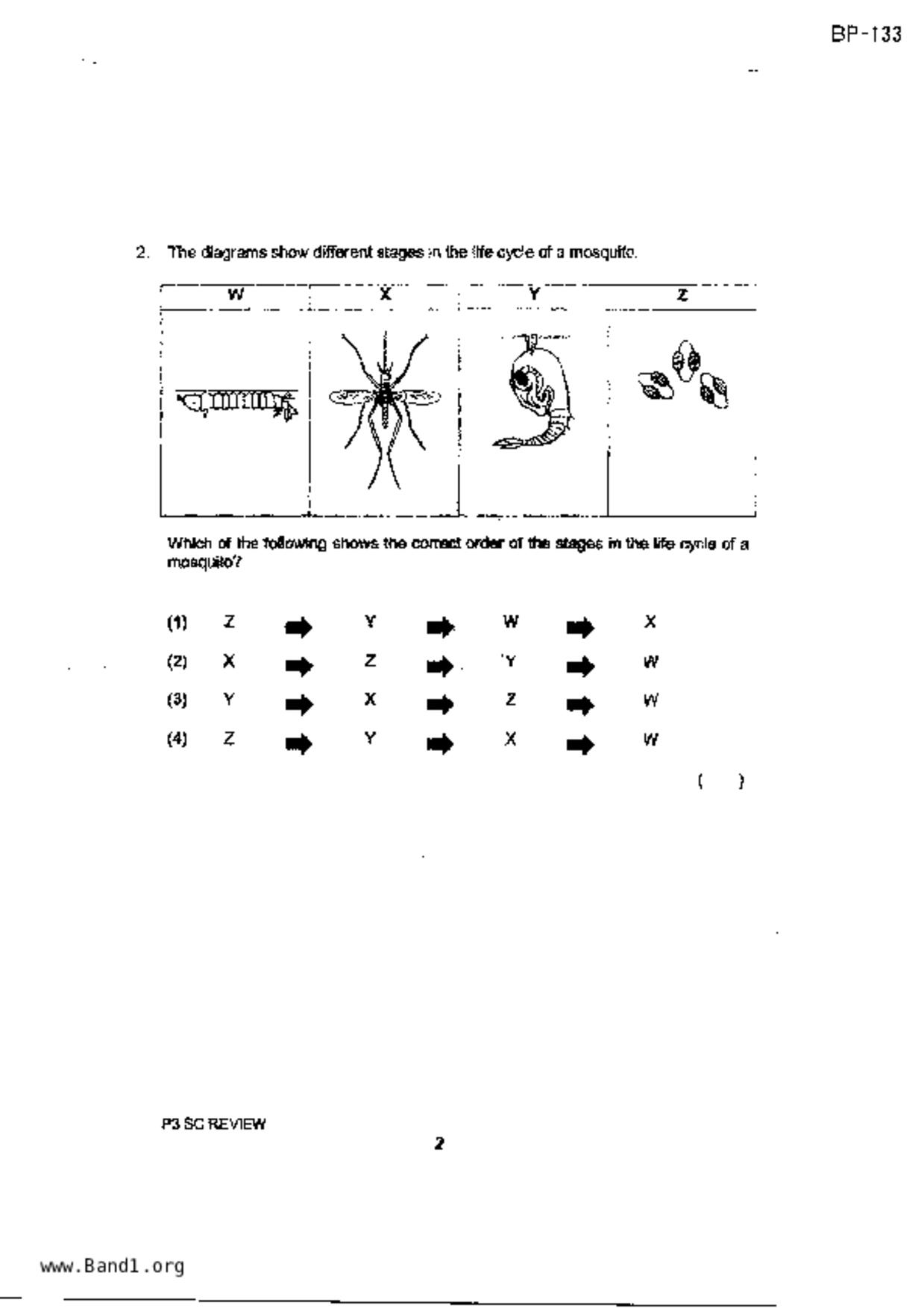 P3Science試卷