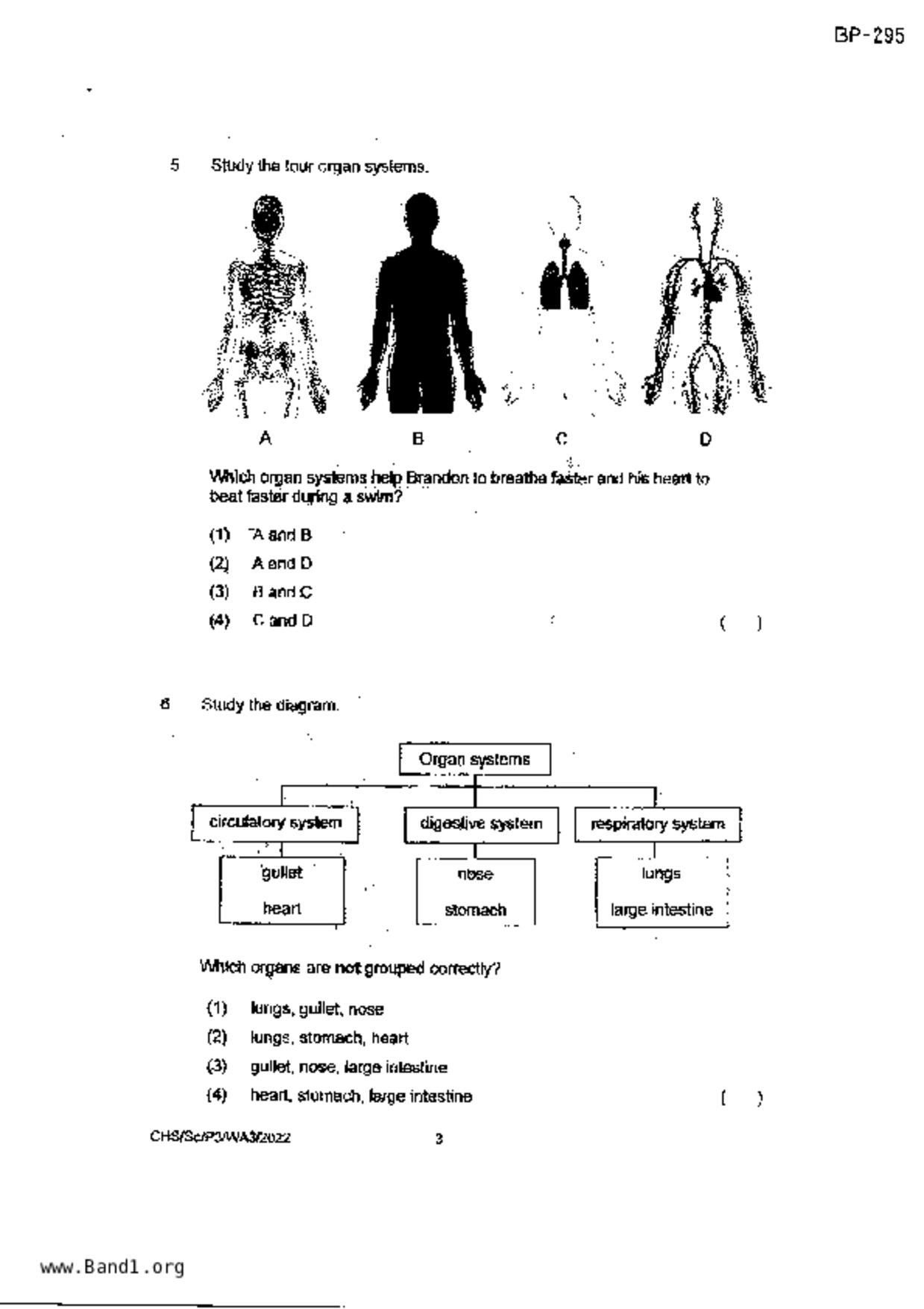 P3Science試卷