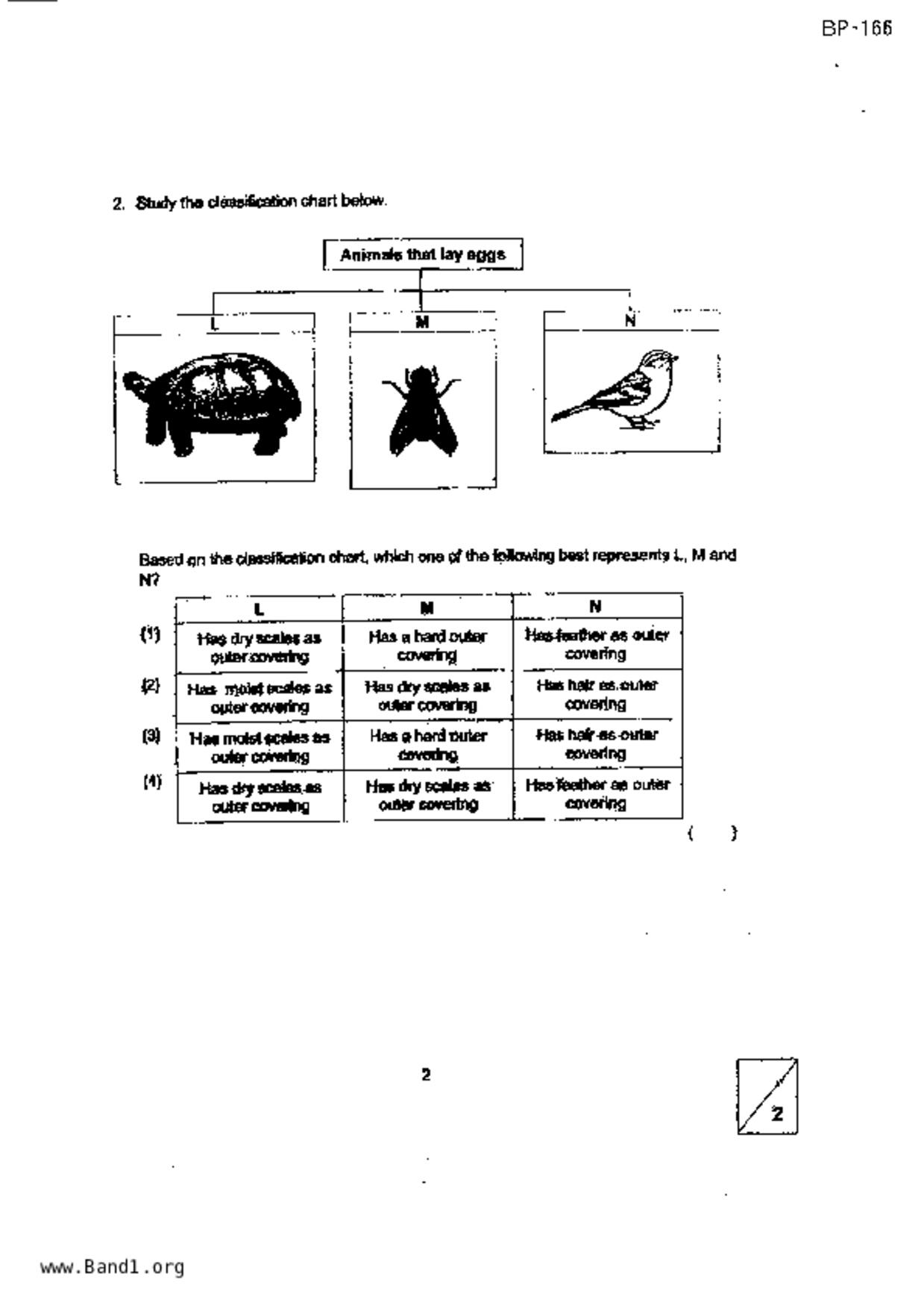 P3Science試卷