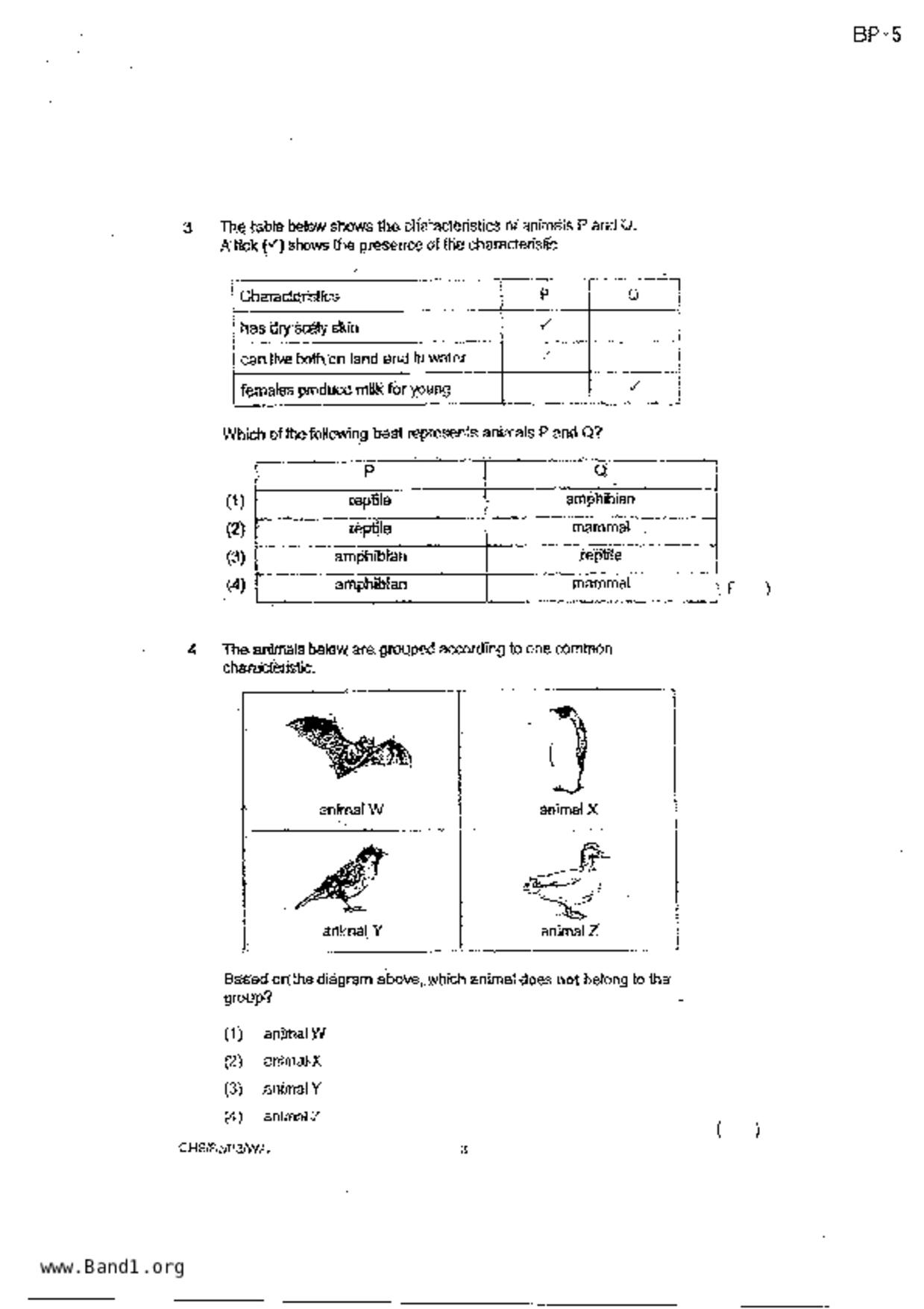 P3Science試卷
