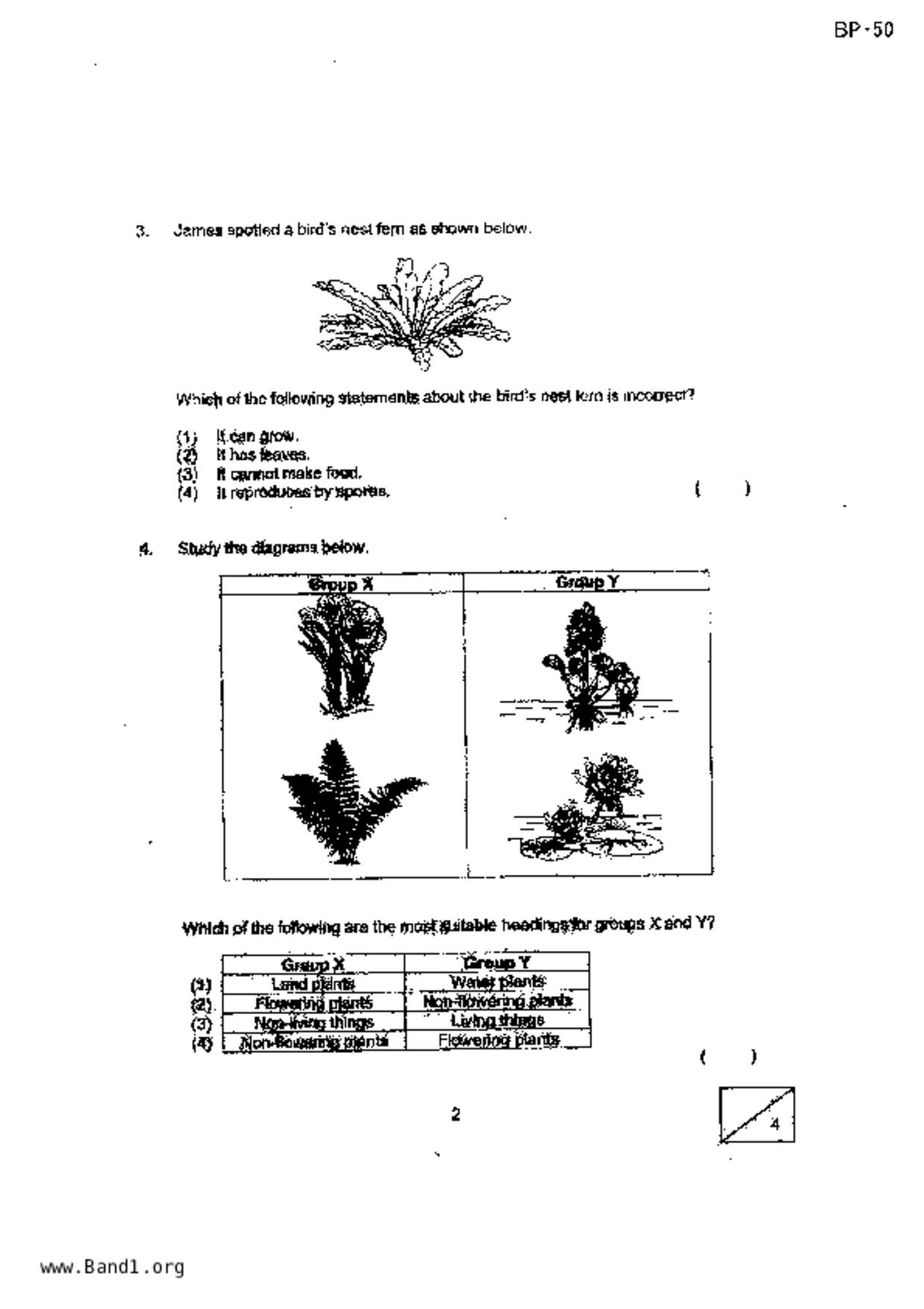 P3Science試卷