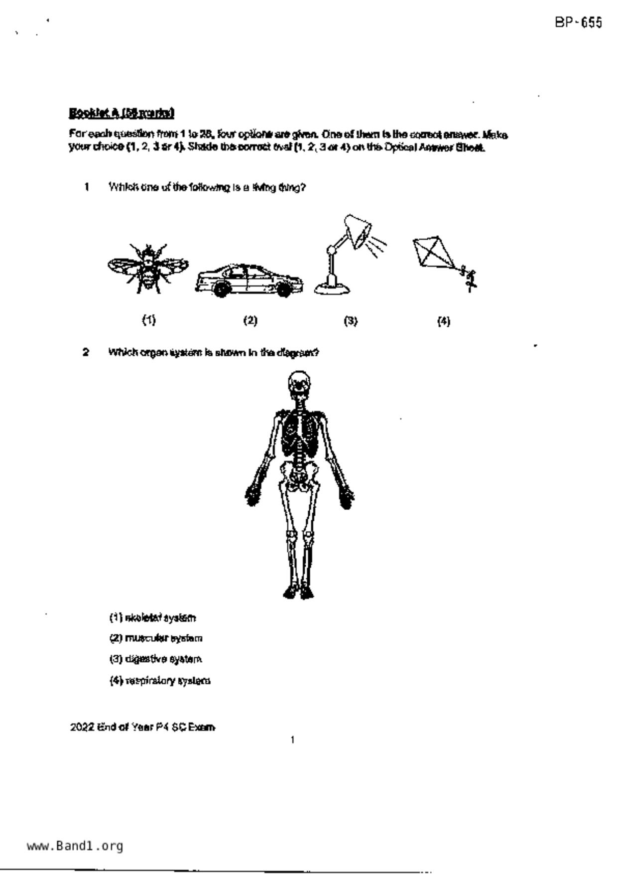 P4Science試卷
