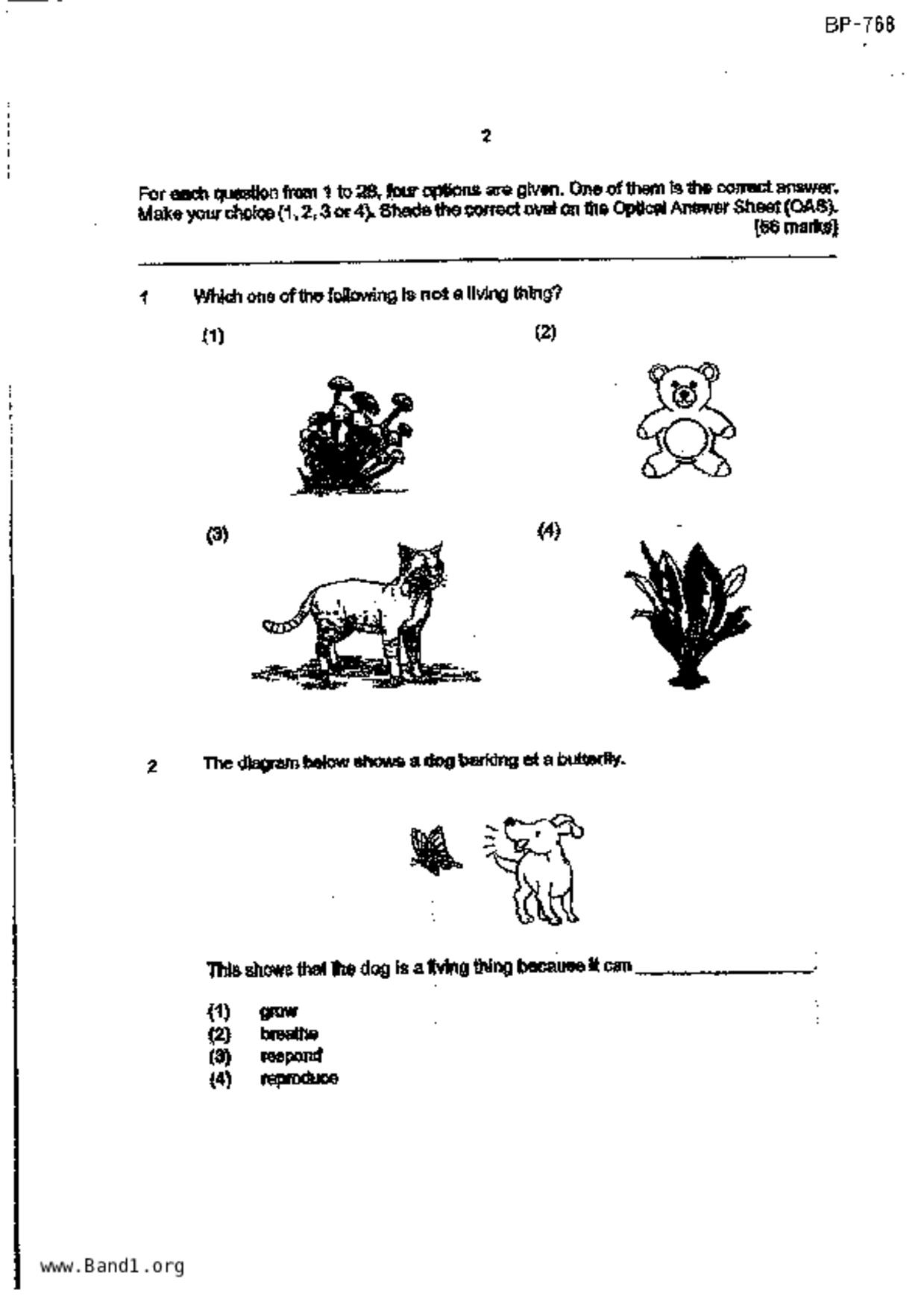 P4Science試卷