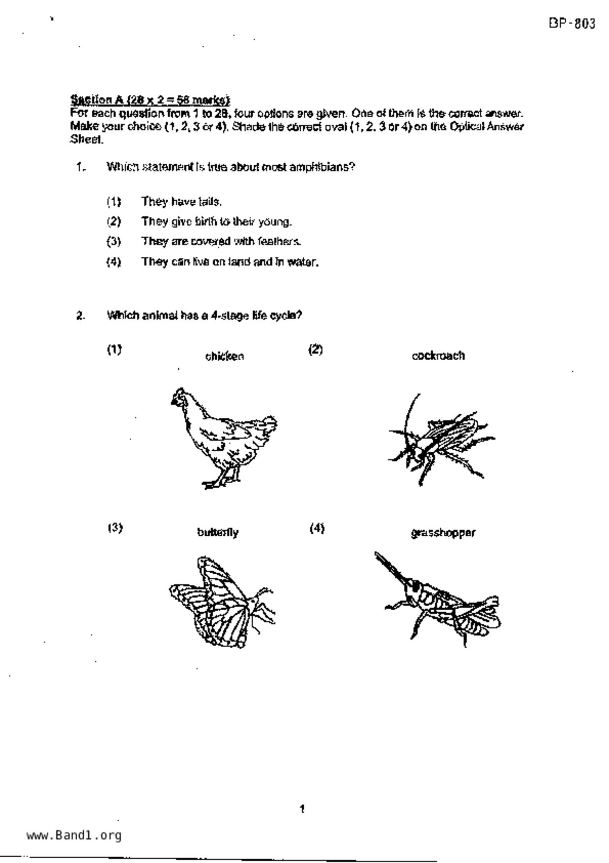 P4Science試卷