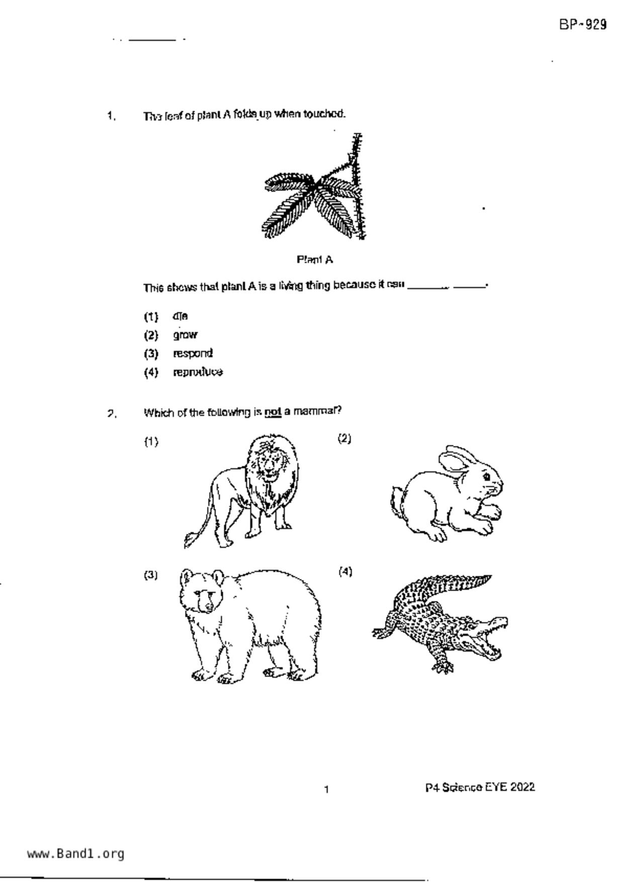 P4Science試卷