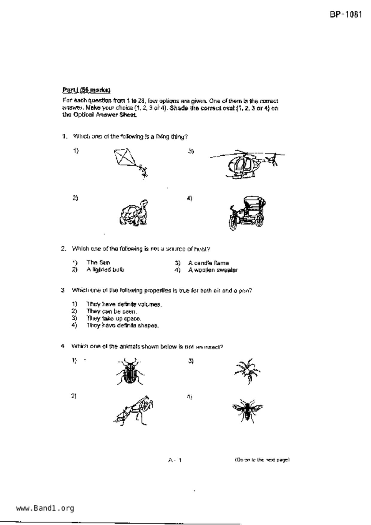 P4Science試卷