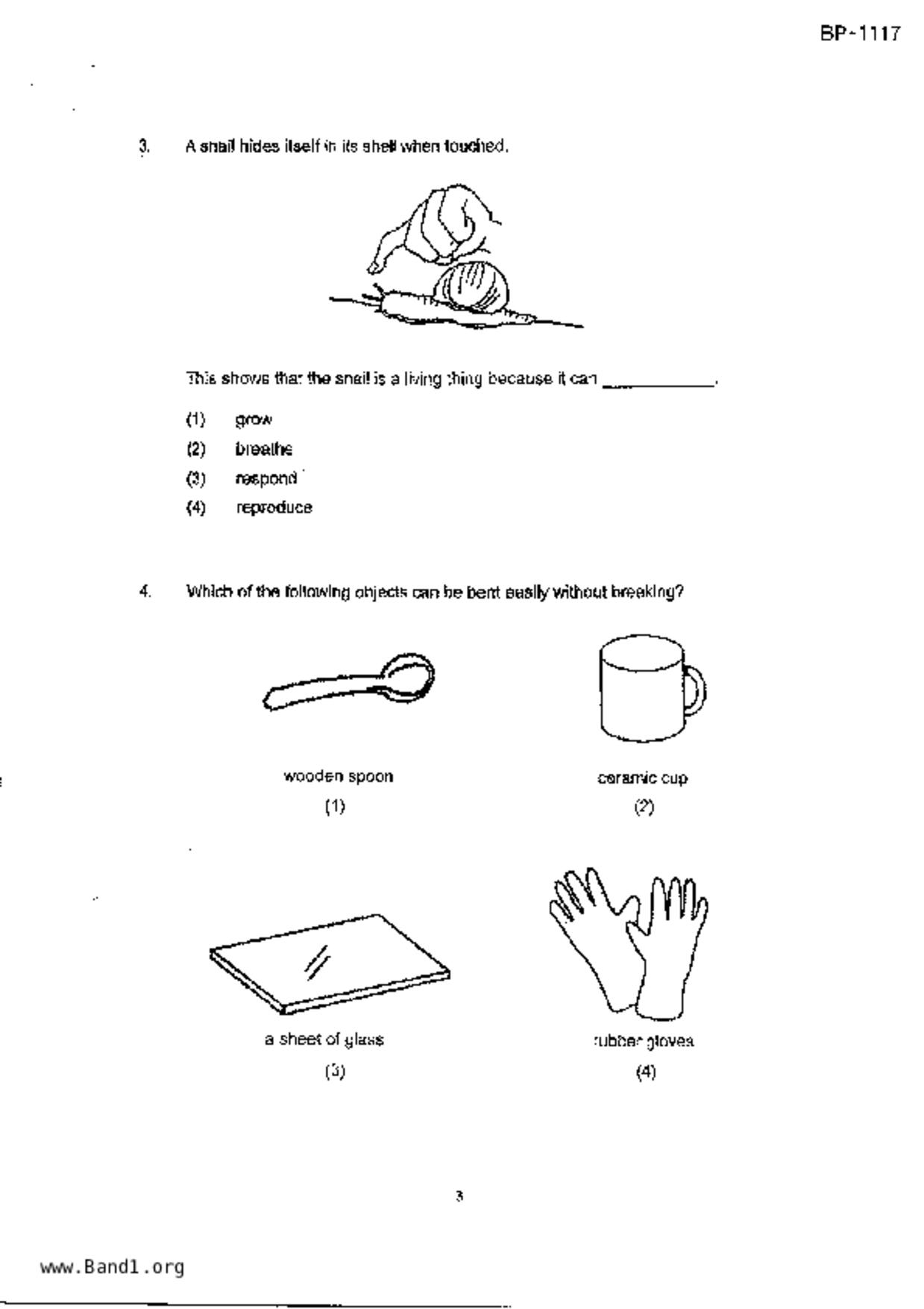 P4Science試卷