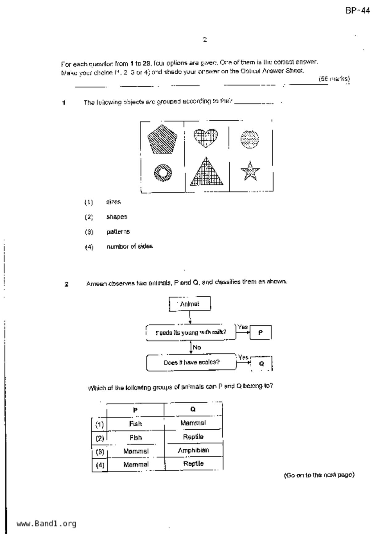 P4Science試卷