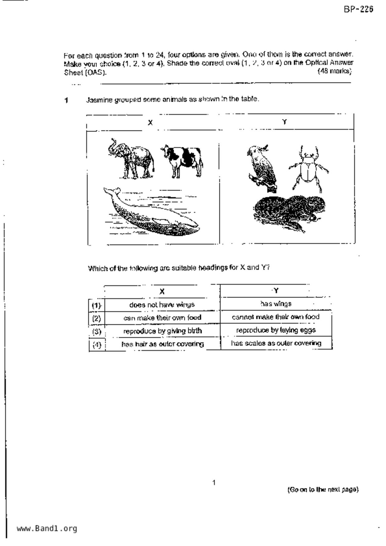 P4Science試卷