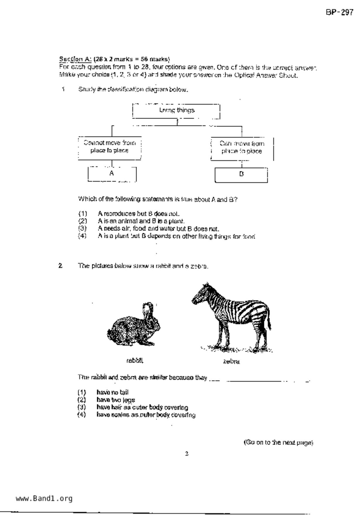 P4Science試卷