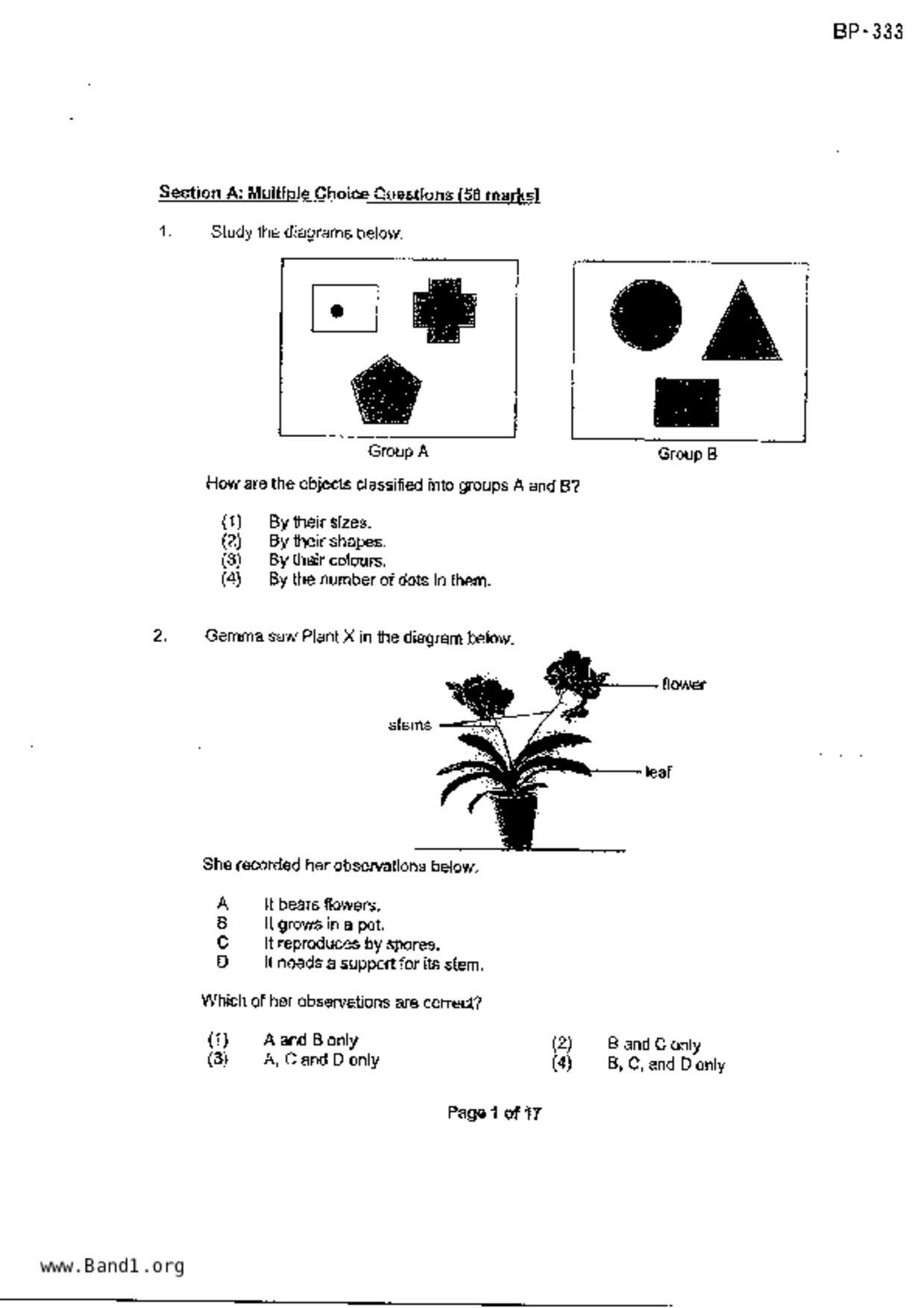 P4Science試卷