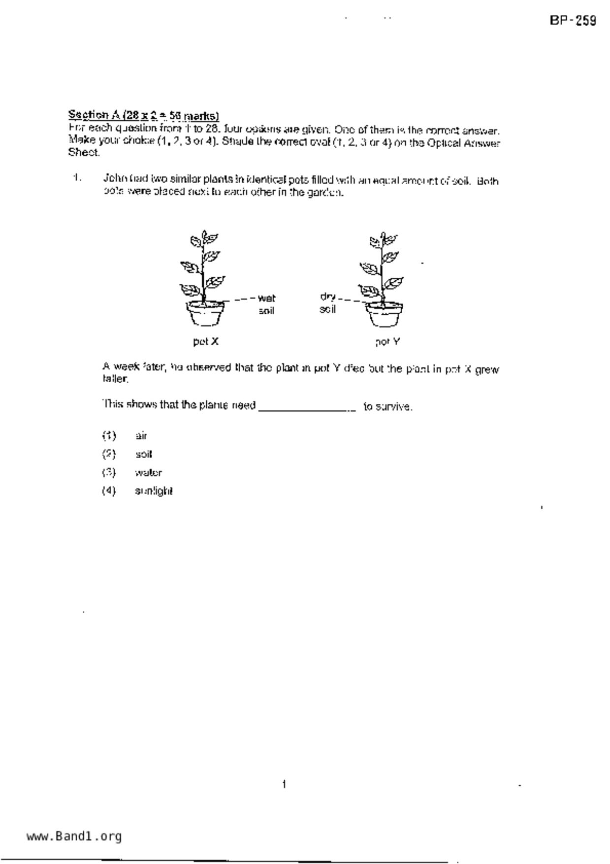 P4Science試卷