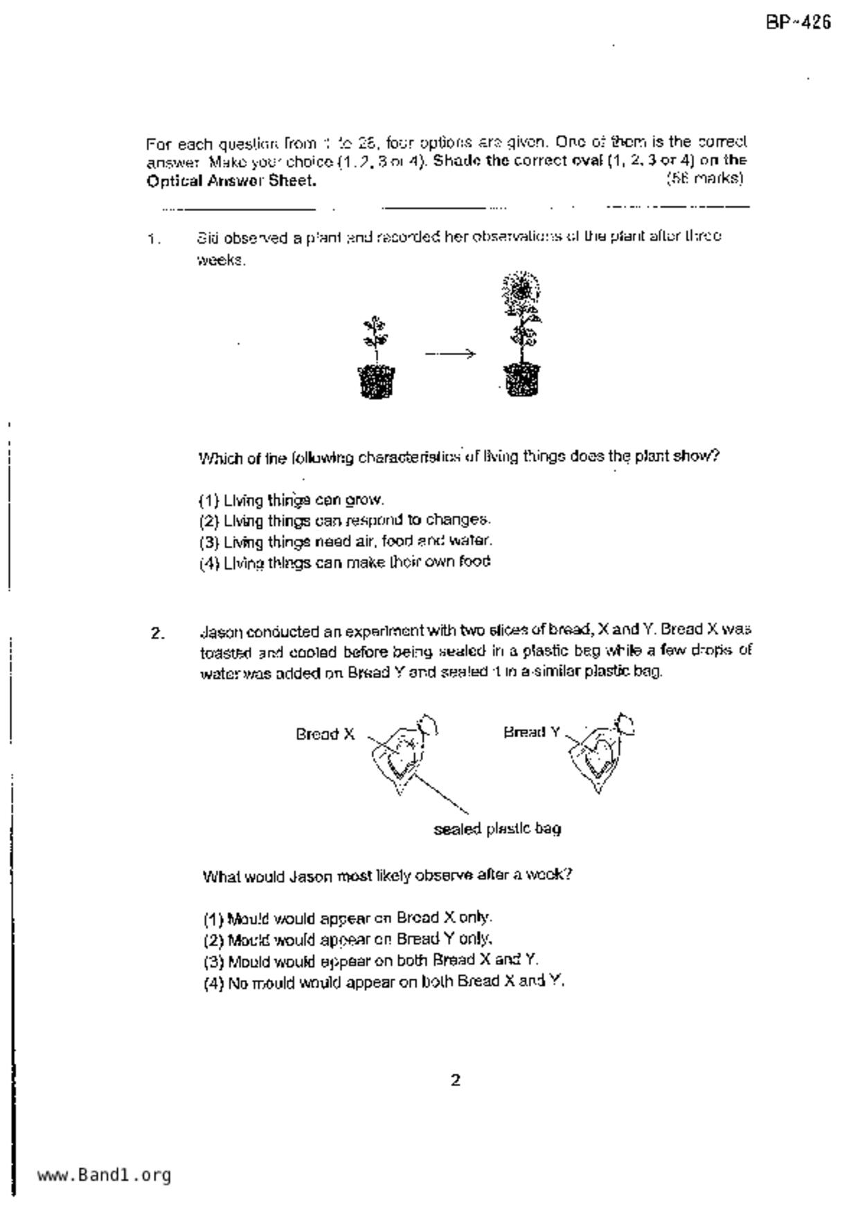 P4Science試卷
