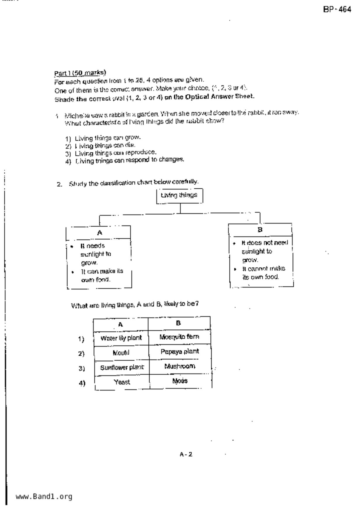 P4Science試卷