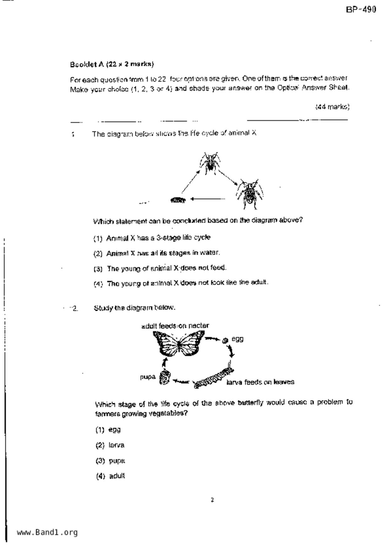 P4Science試卷