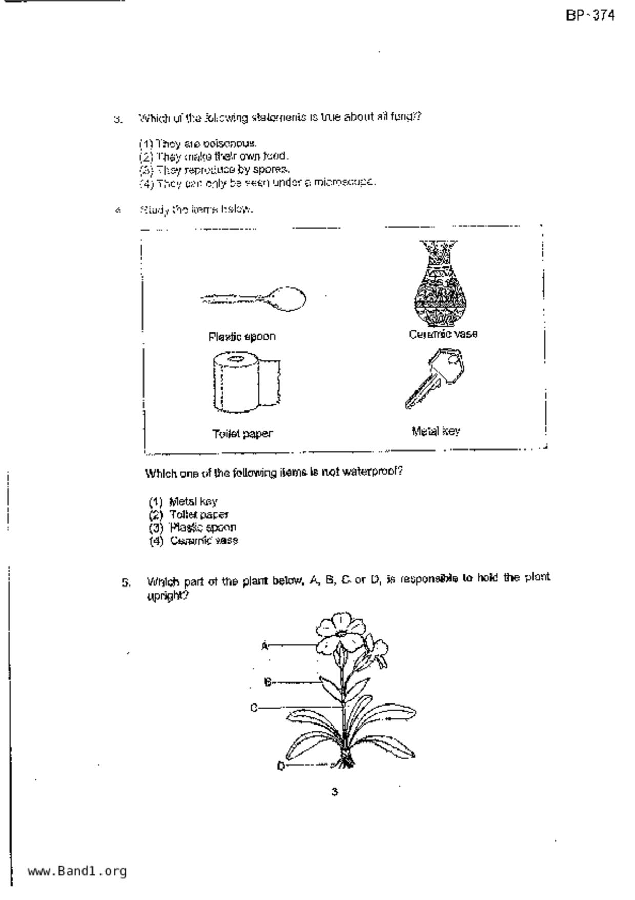 P4Science試卷
