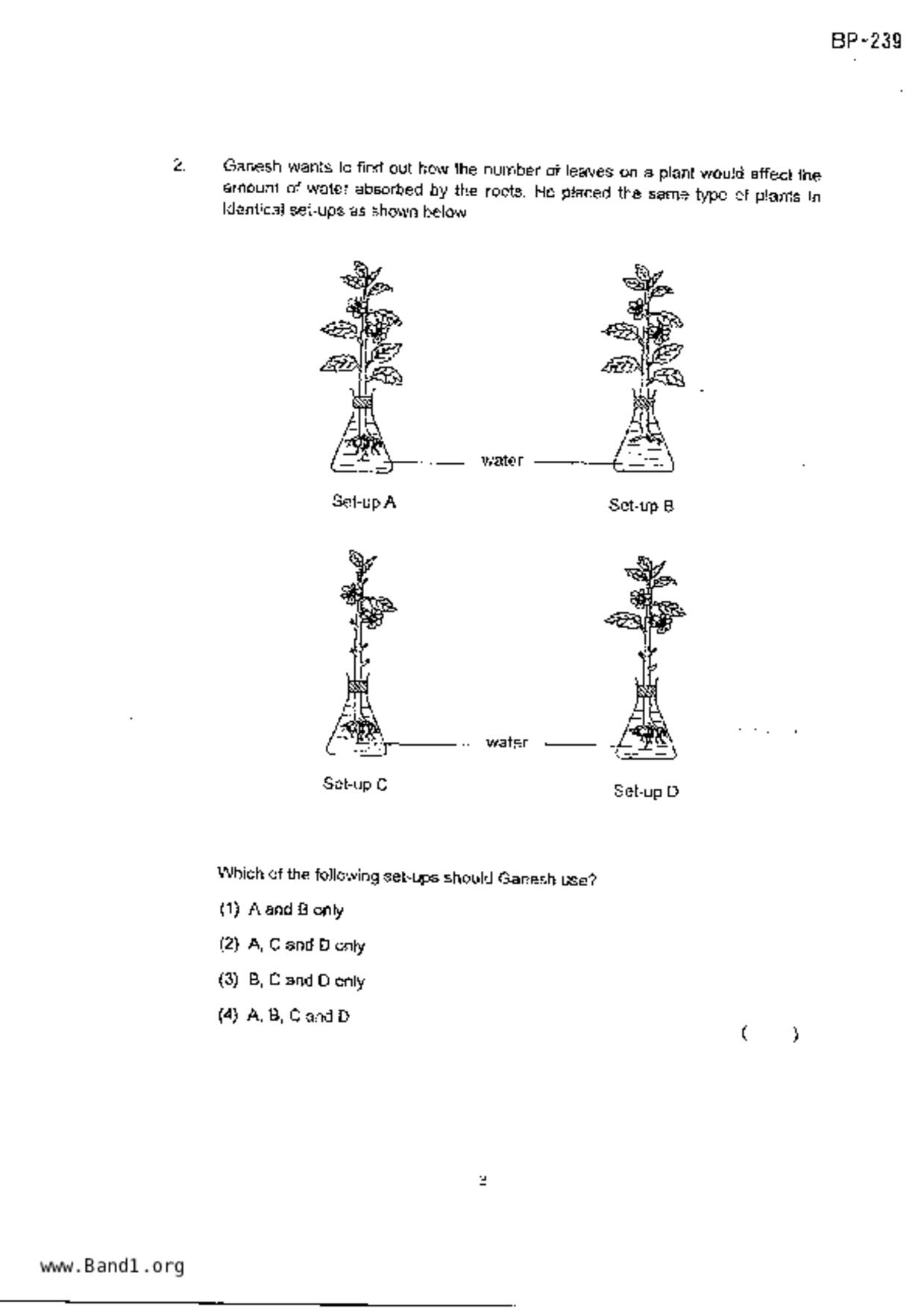 P5Science試卷