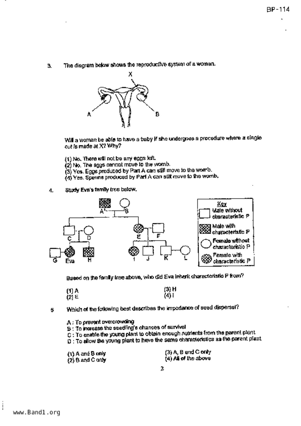 P5Science試卷