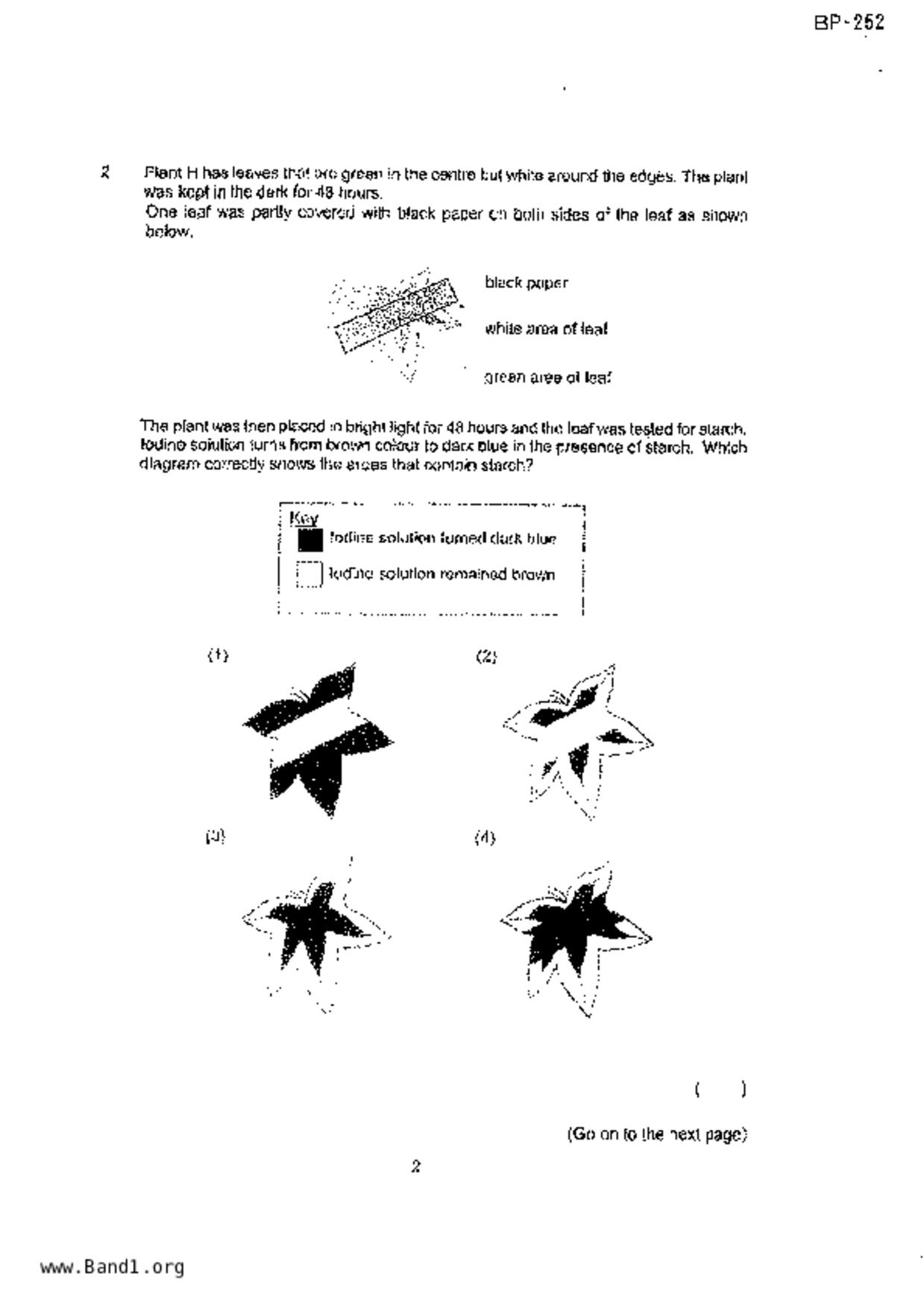 P5Science試卷