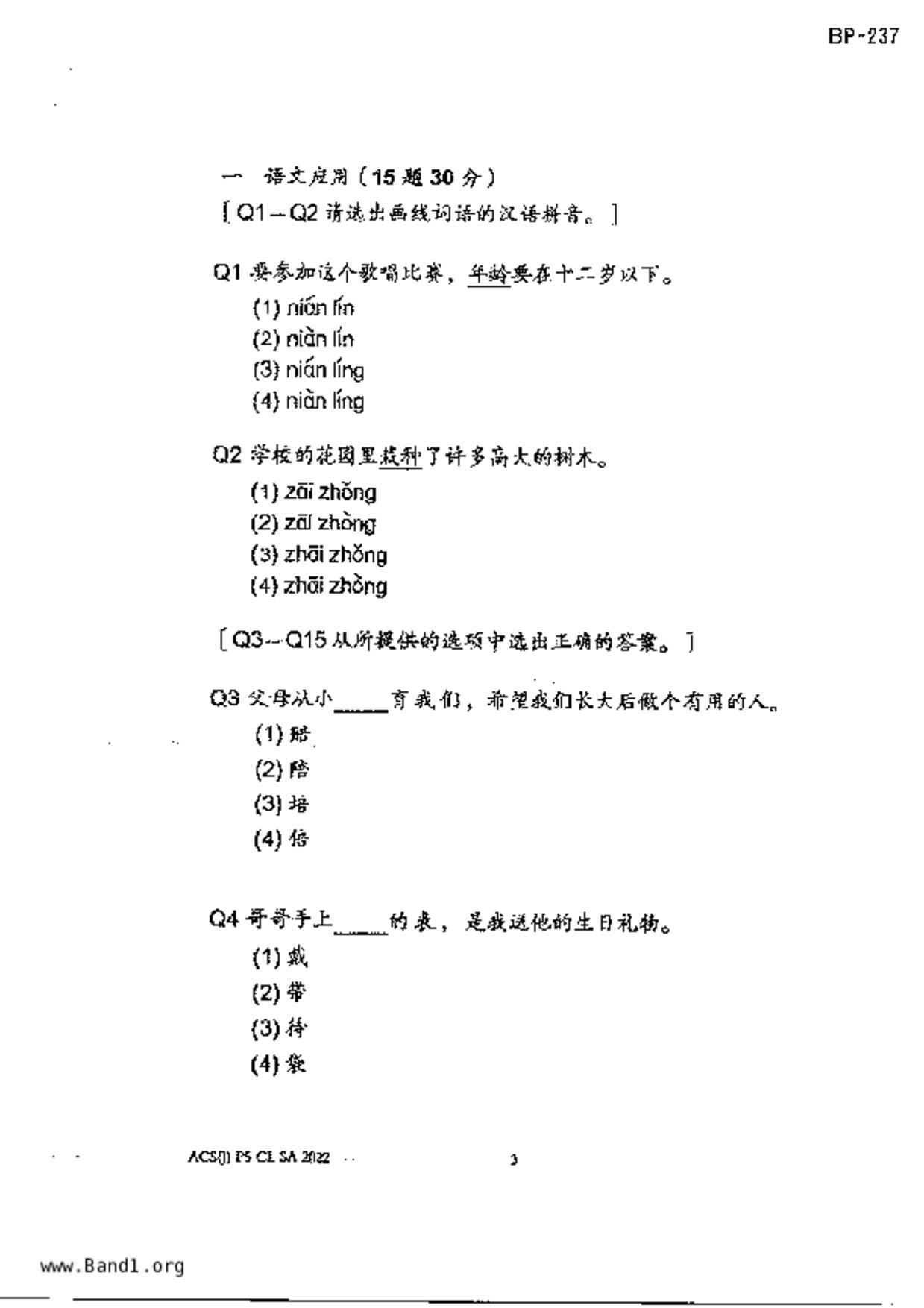 P5Chinese試卷