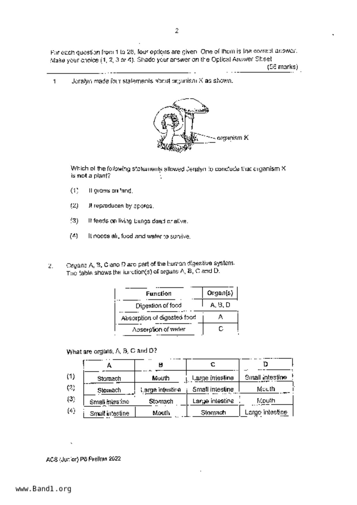 P6Science試卷