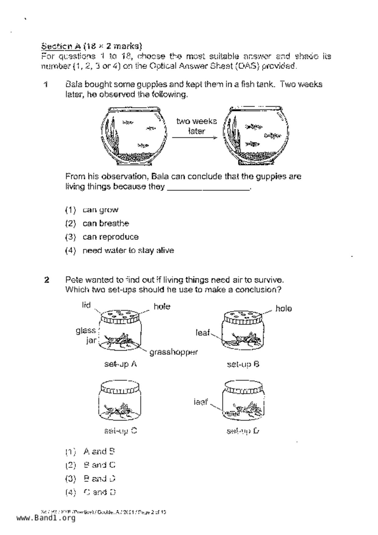 P3Science試卷
