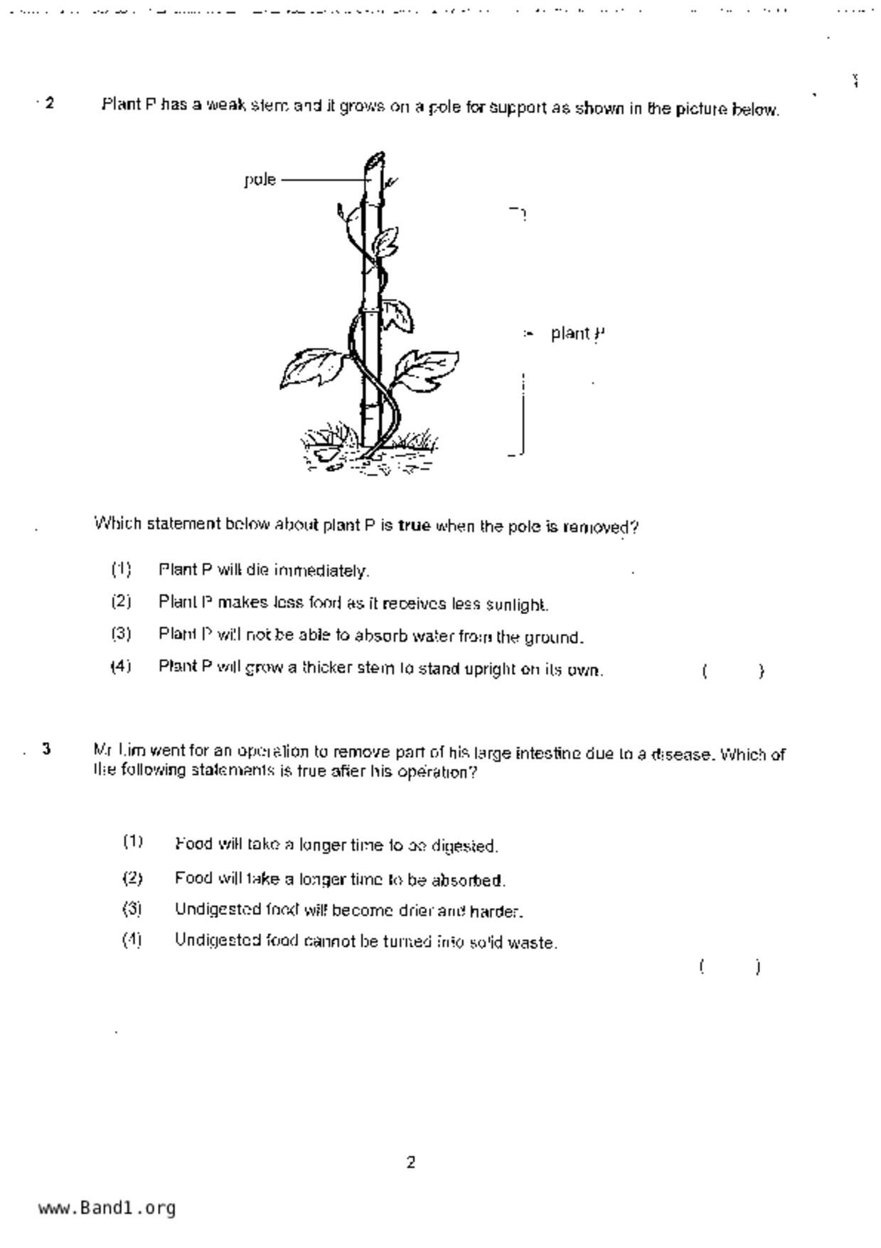 P3Science試卷