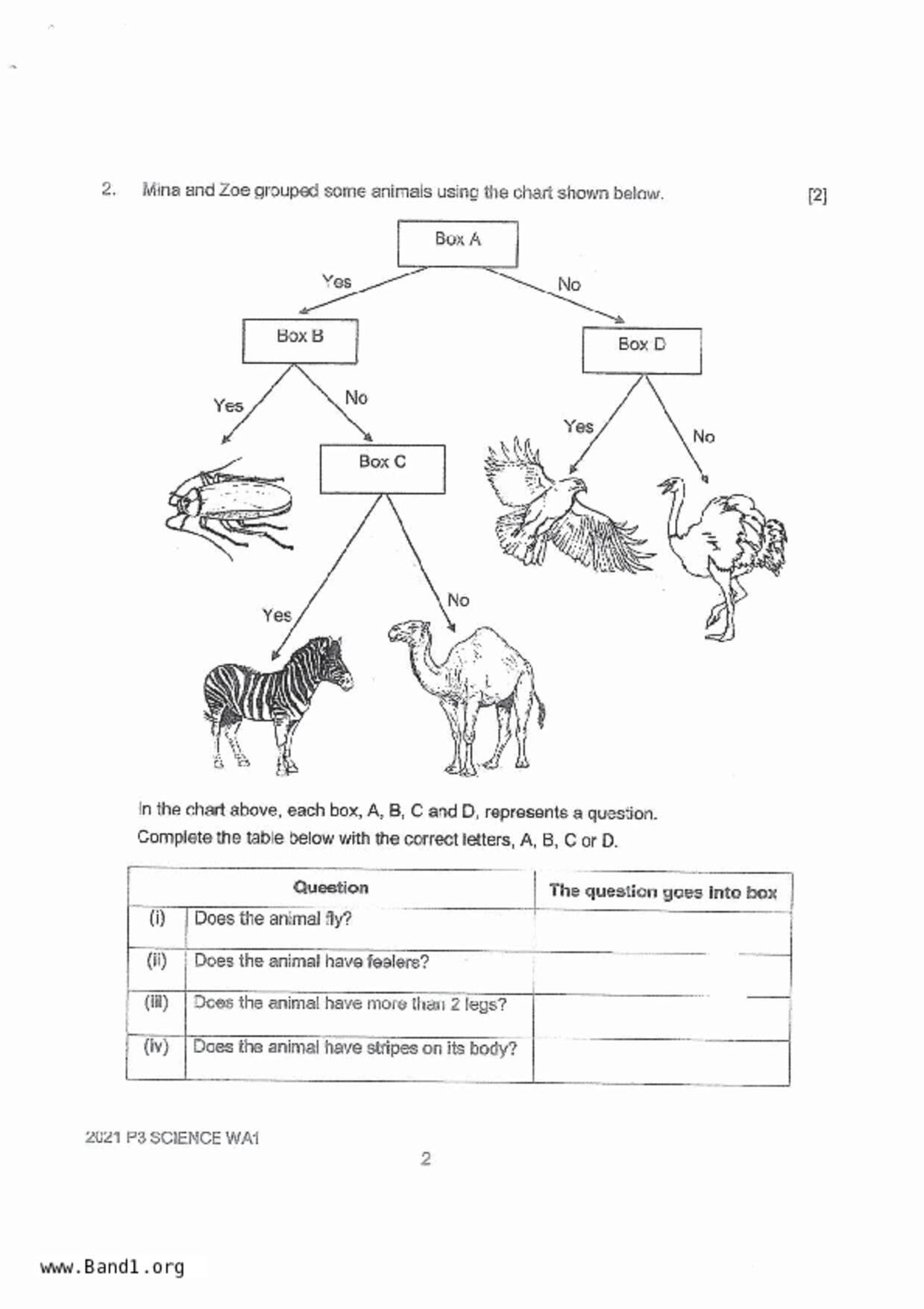 P3Science試卷