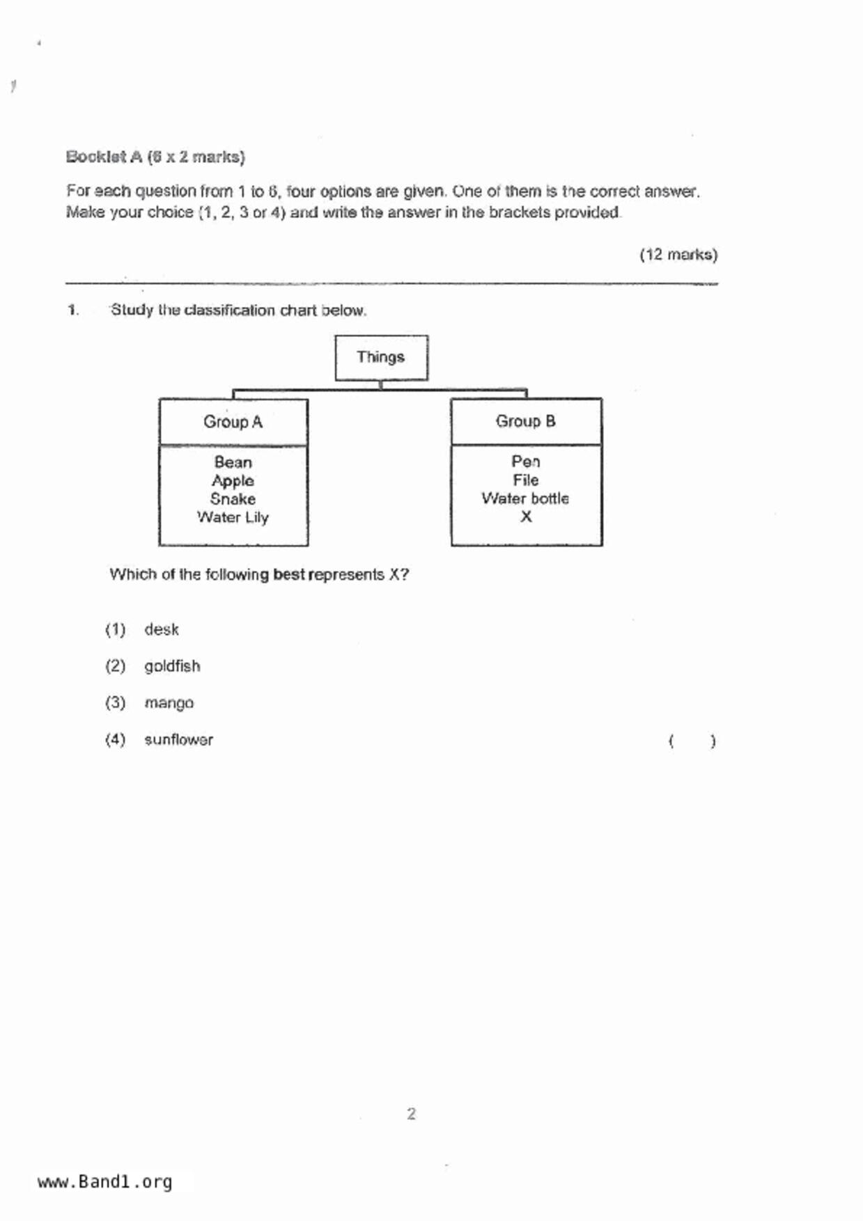 P3Science試卷