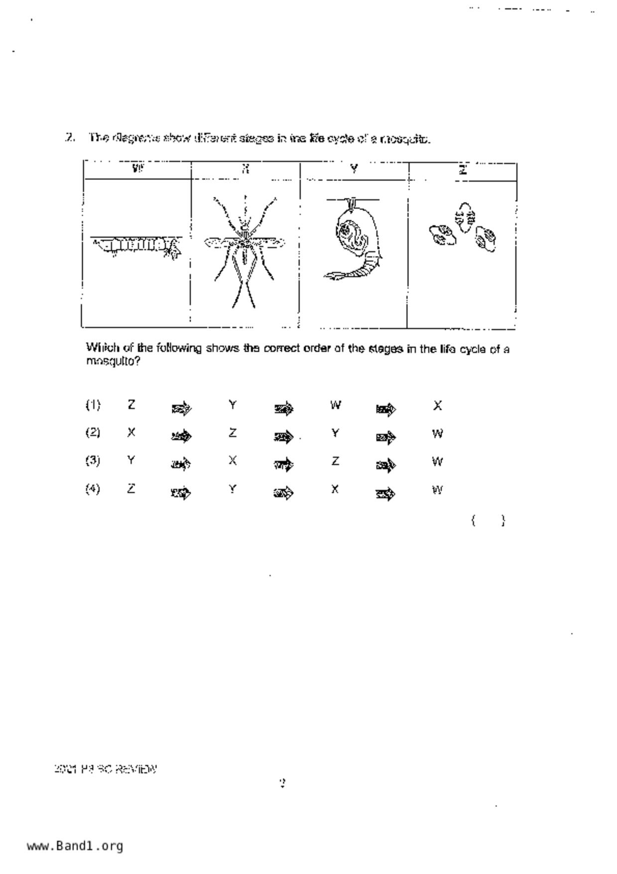 P3Science試卷